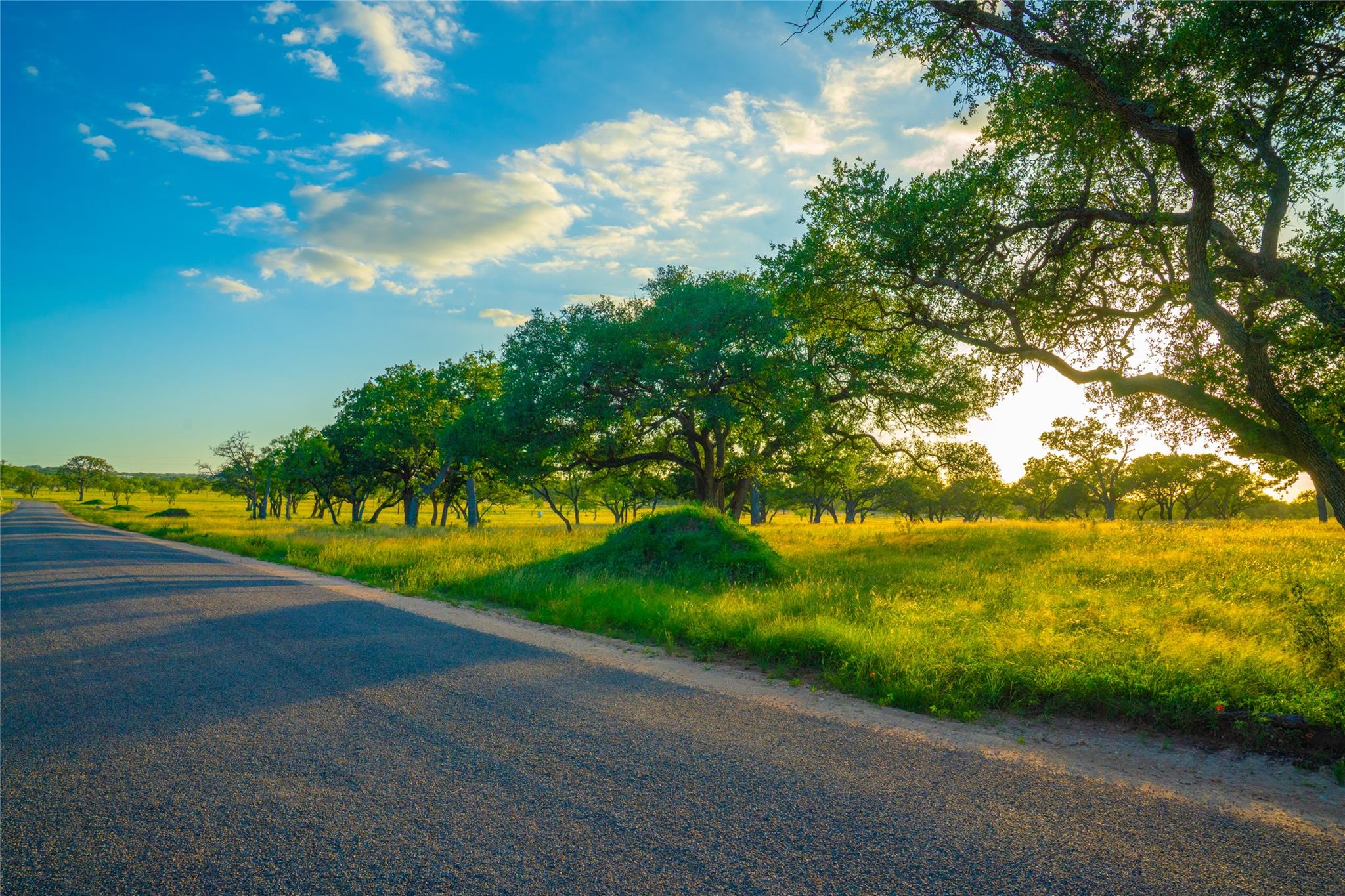 Image 4 of 30 For 000 Rolling Oaks Rnch