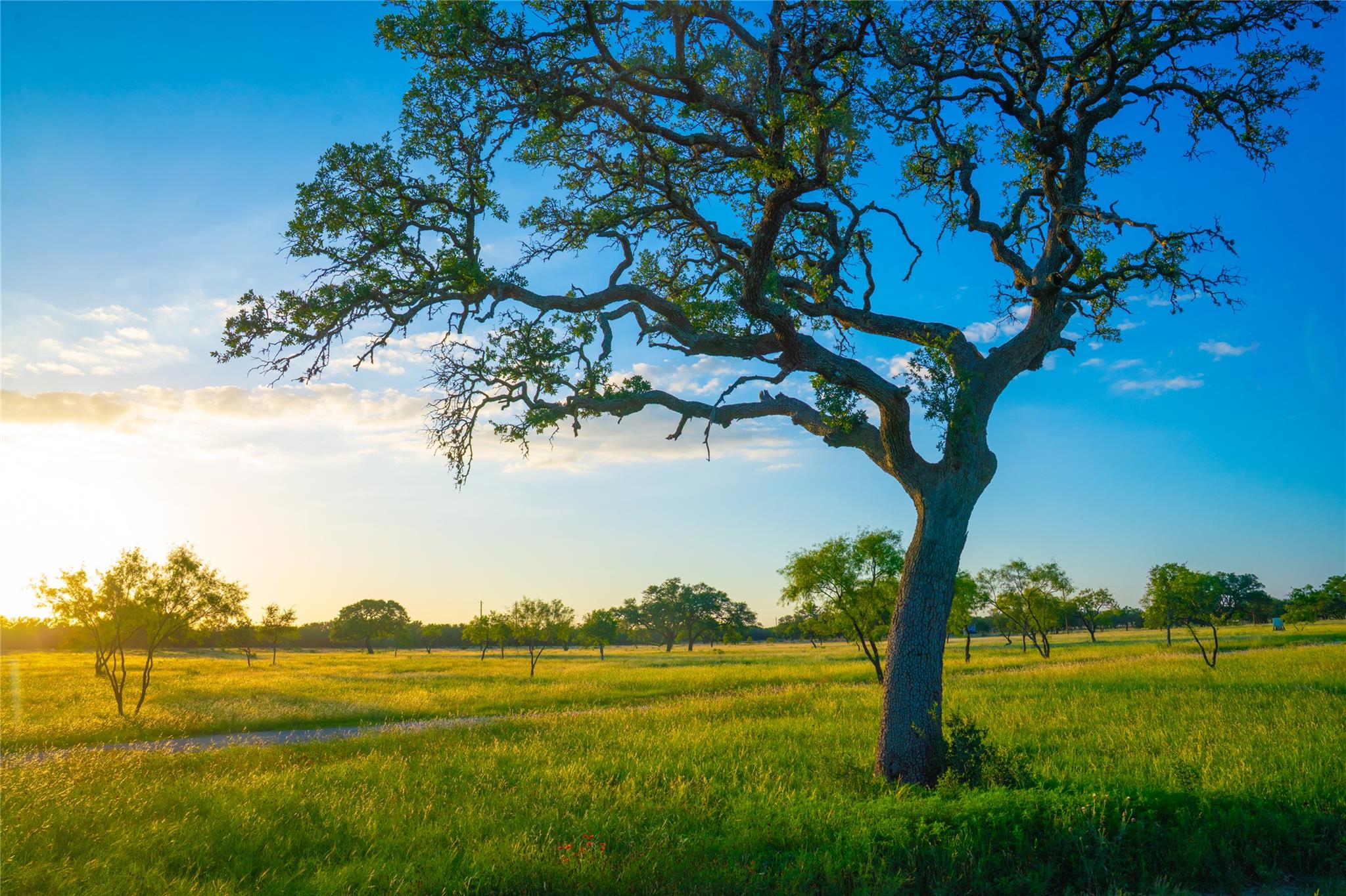 Image 8 of 30 For 000 Rolling Oaks Rnch