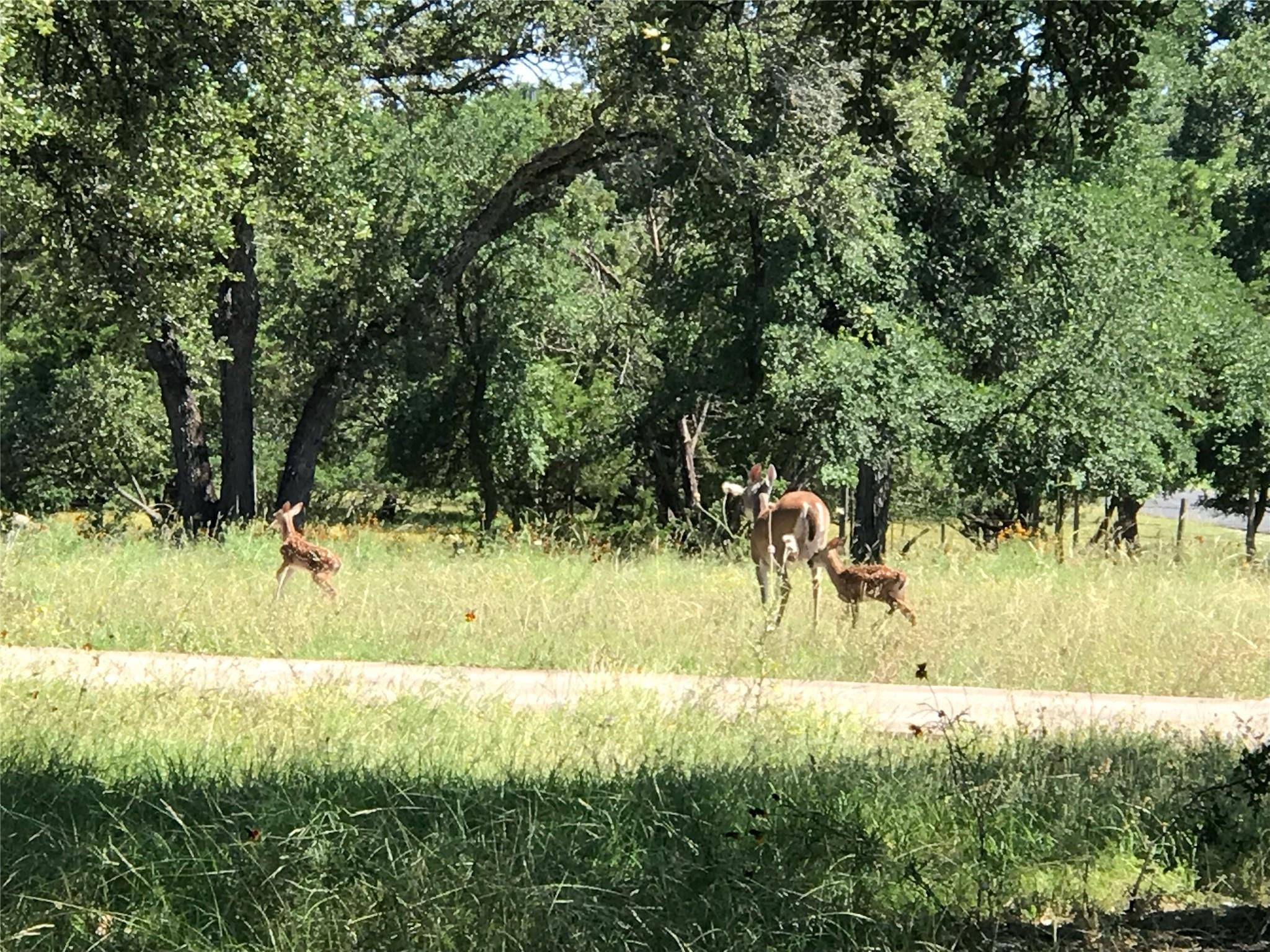 Image 33 of 38 For 280 Sunset Ter