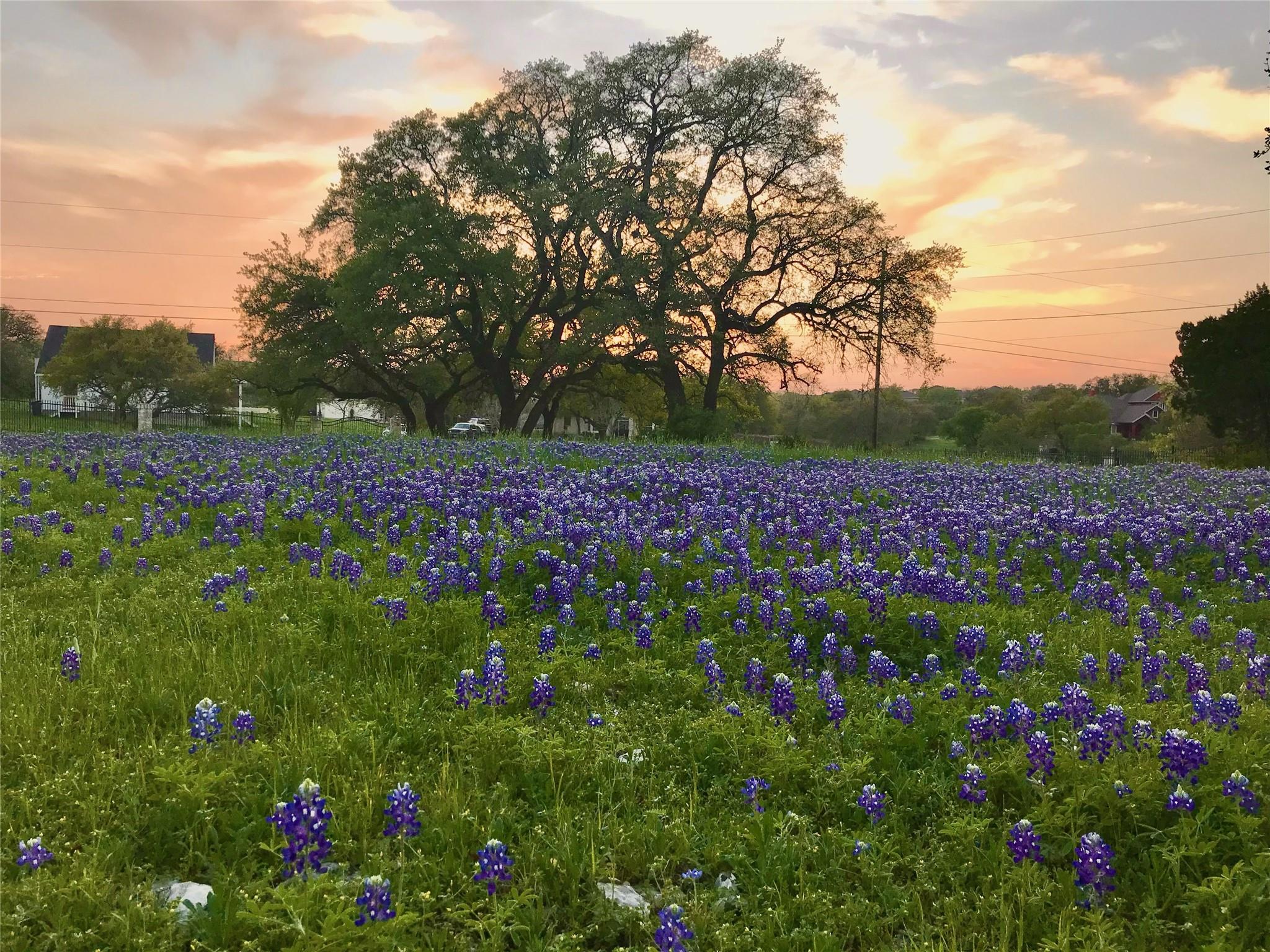 Image 34 of 38 For 280 Sunset Ter