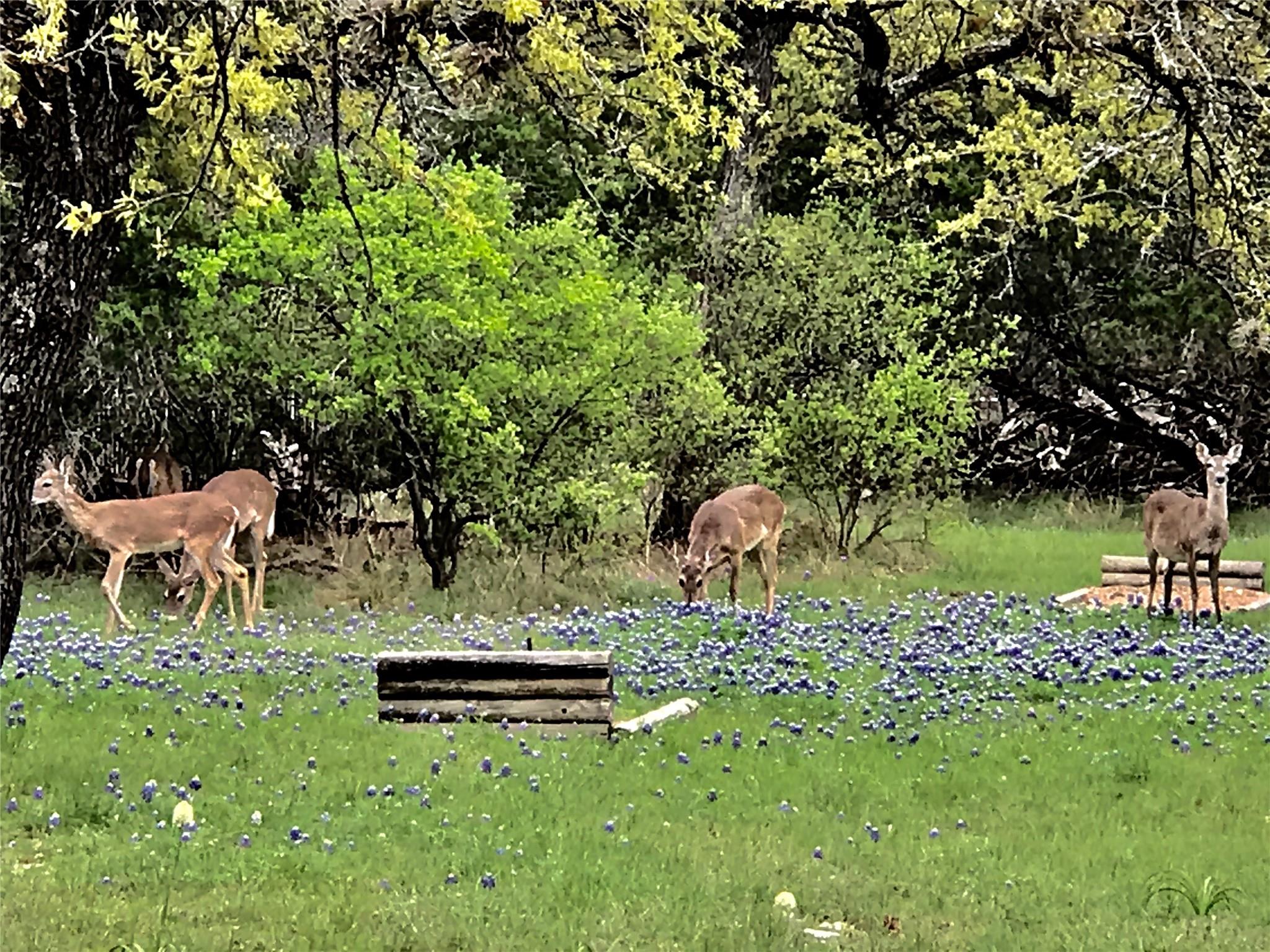 Image 35 of 38 For 280 Sunset Ter