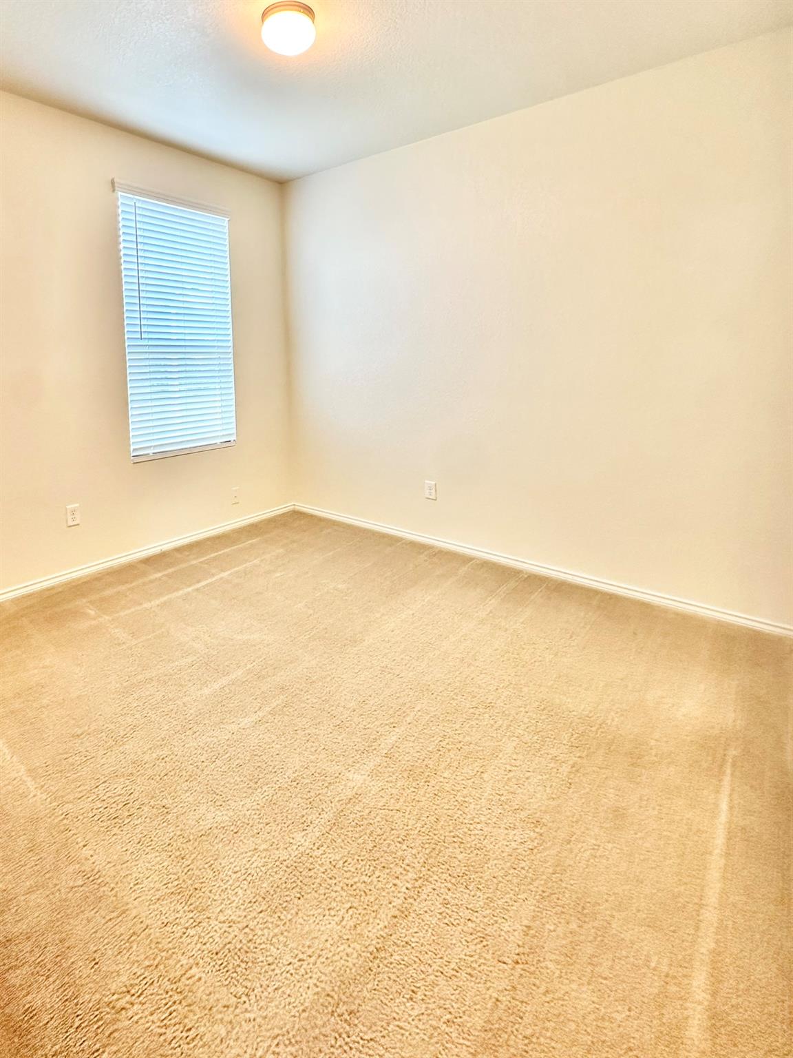 Image 12 of 23 For 339 Mistflower