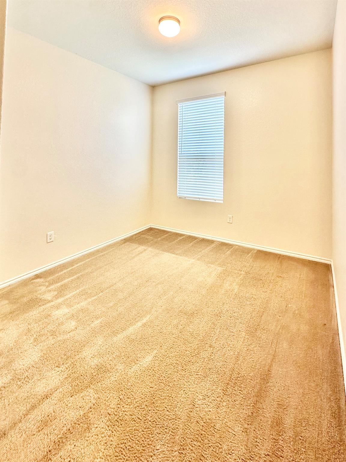 Image 13 of 23 For 339 Mistflower