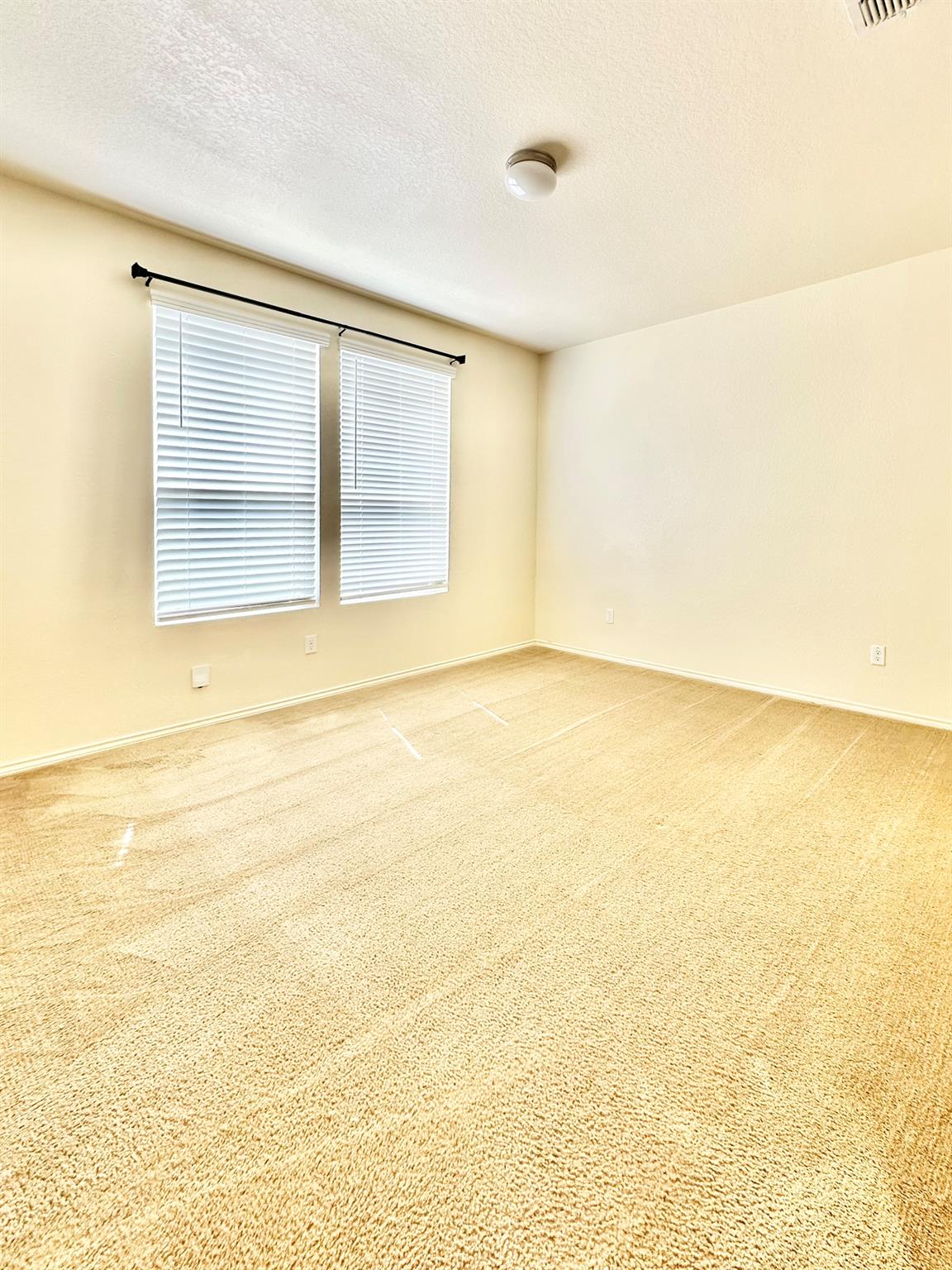 Image 15 of 23 For 339 Mistflower