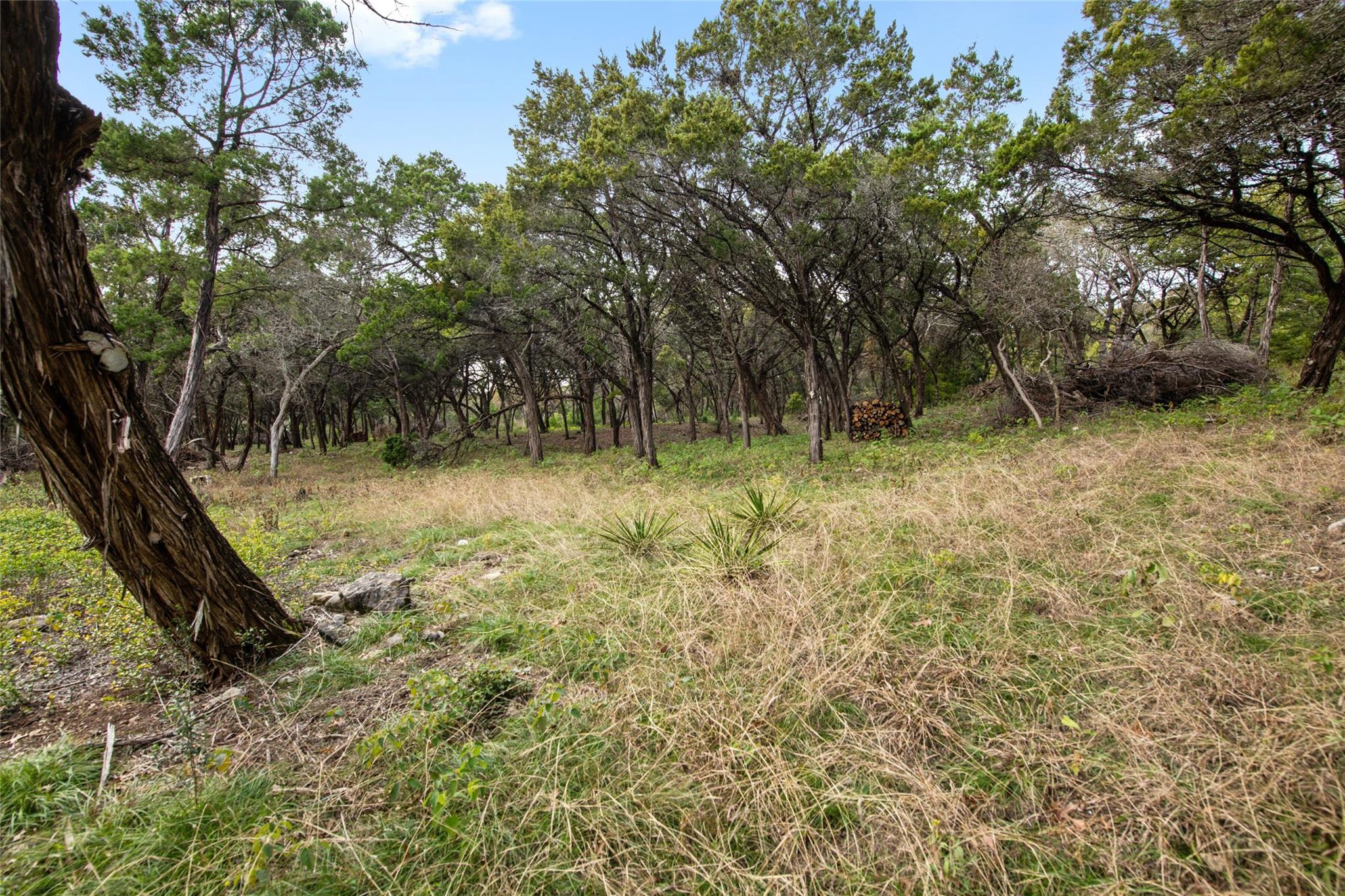 Image 10 of 19 For 1453 Wild Basin Ledge St