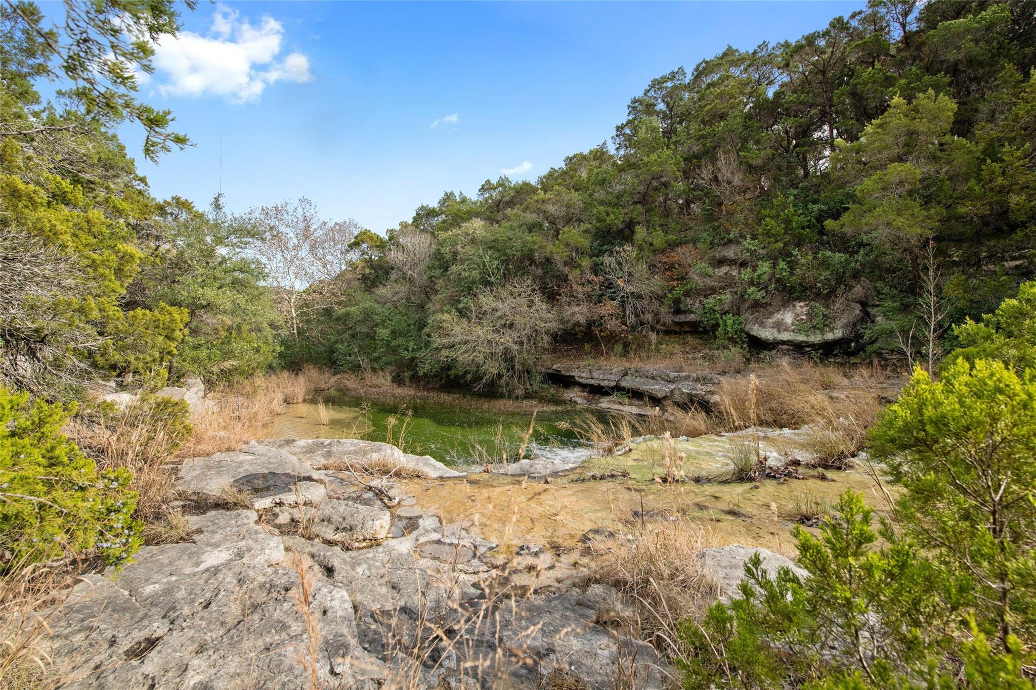 Image 11 of 19 For 1453 Wild Basin Ledge St