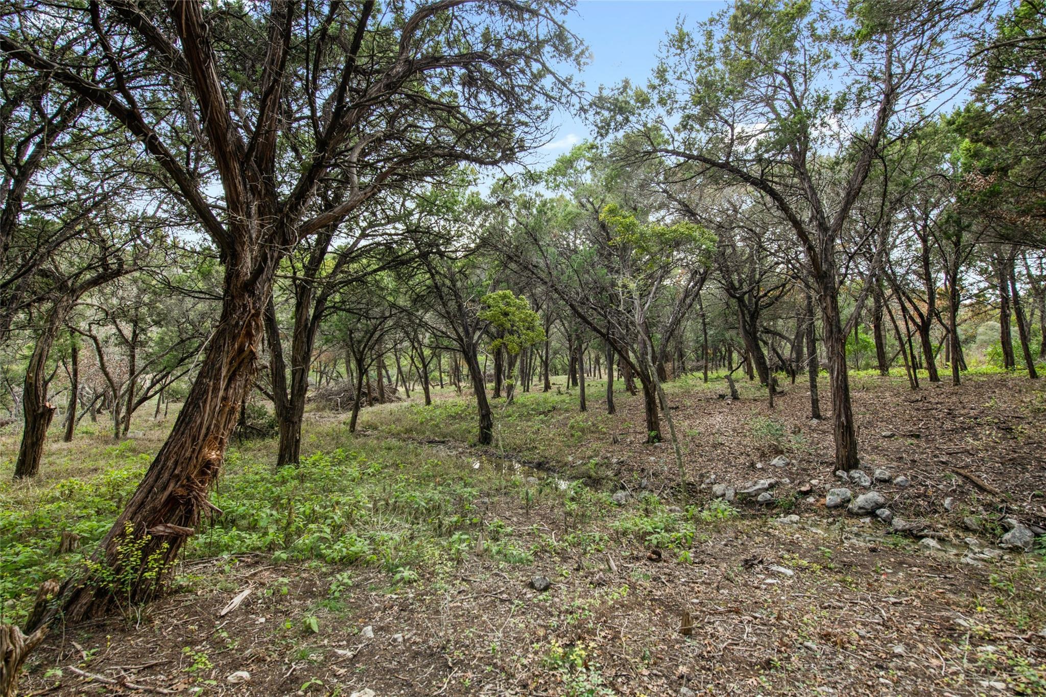 Image 16 of 19 For 1453 Wild Basin Ledge St