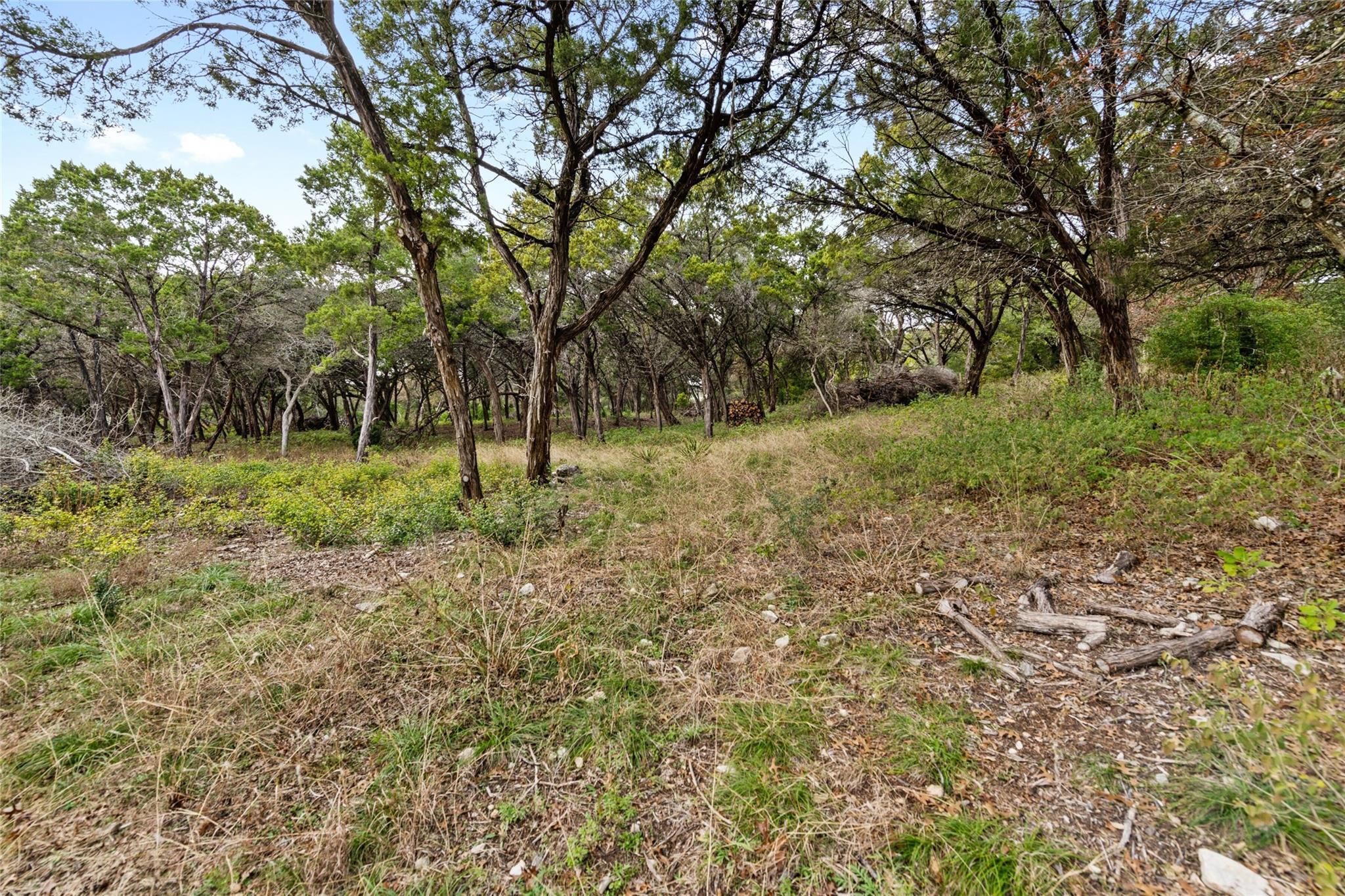 Image 4 of 19 For 1453 Wild Basin Ledge St