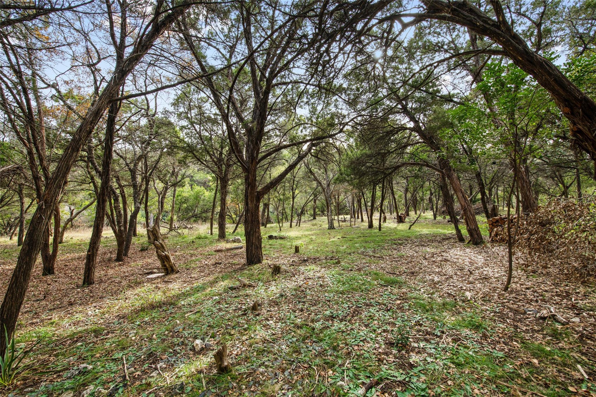 Image 5 of 19 For 1453 Wild Basin Ledge St