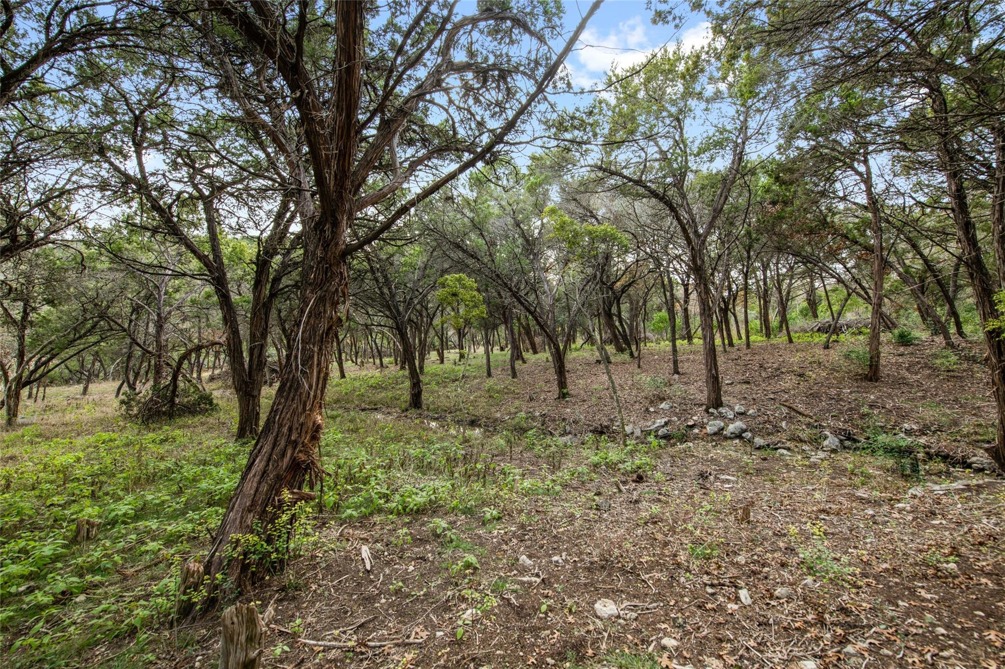 Image 7 of 19 For 1453 Wild Basin Ledge St