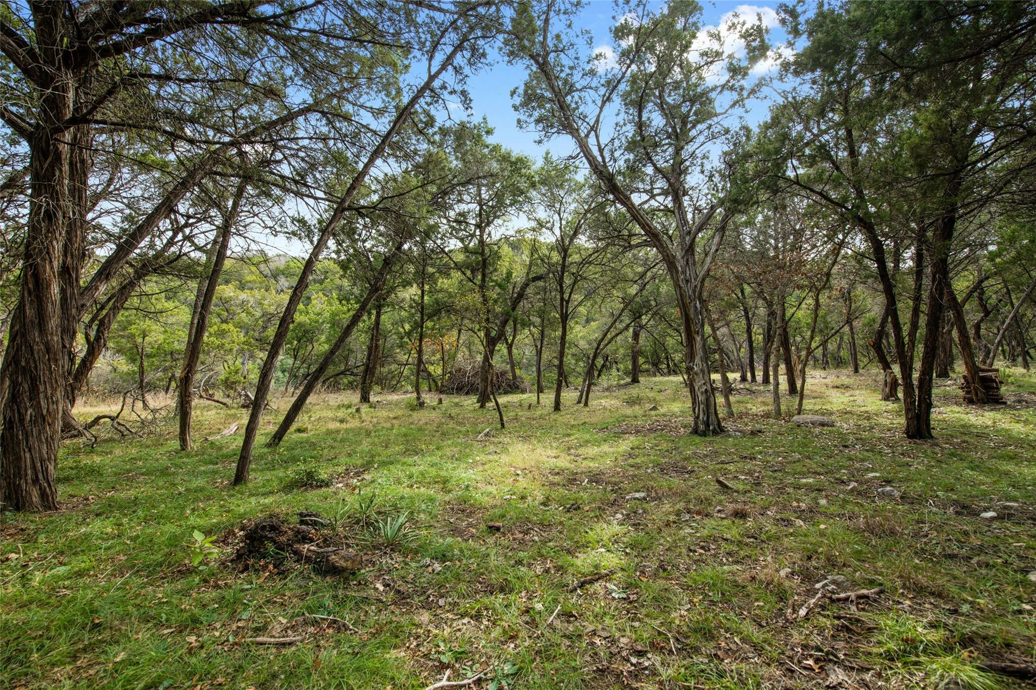 Image 8 of 19 For 1453 Wild Basin Ledge St