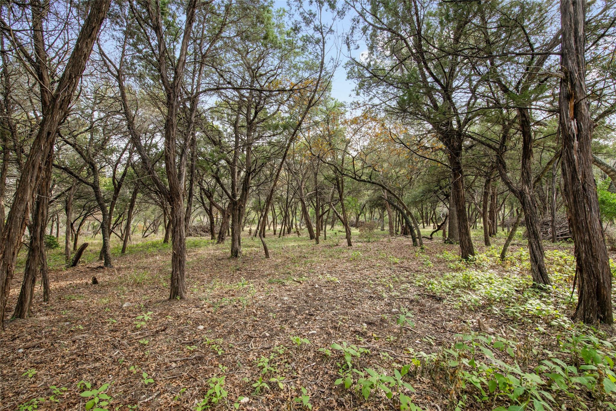 Image 9 of 19 For 1453 Wild Basin Ledge St