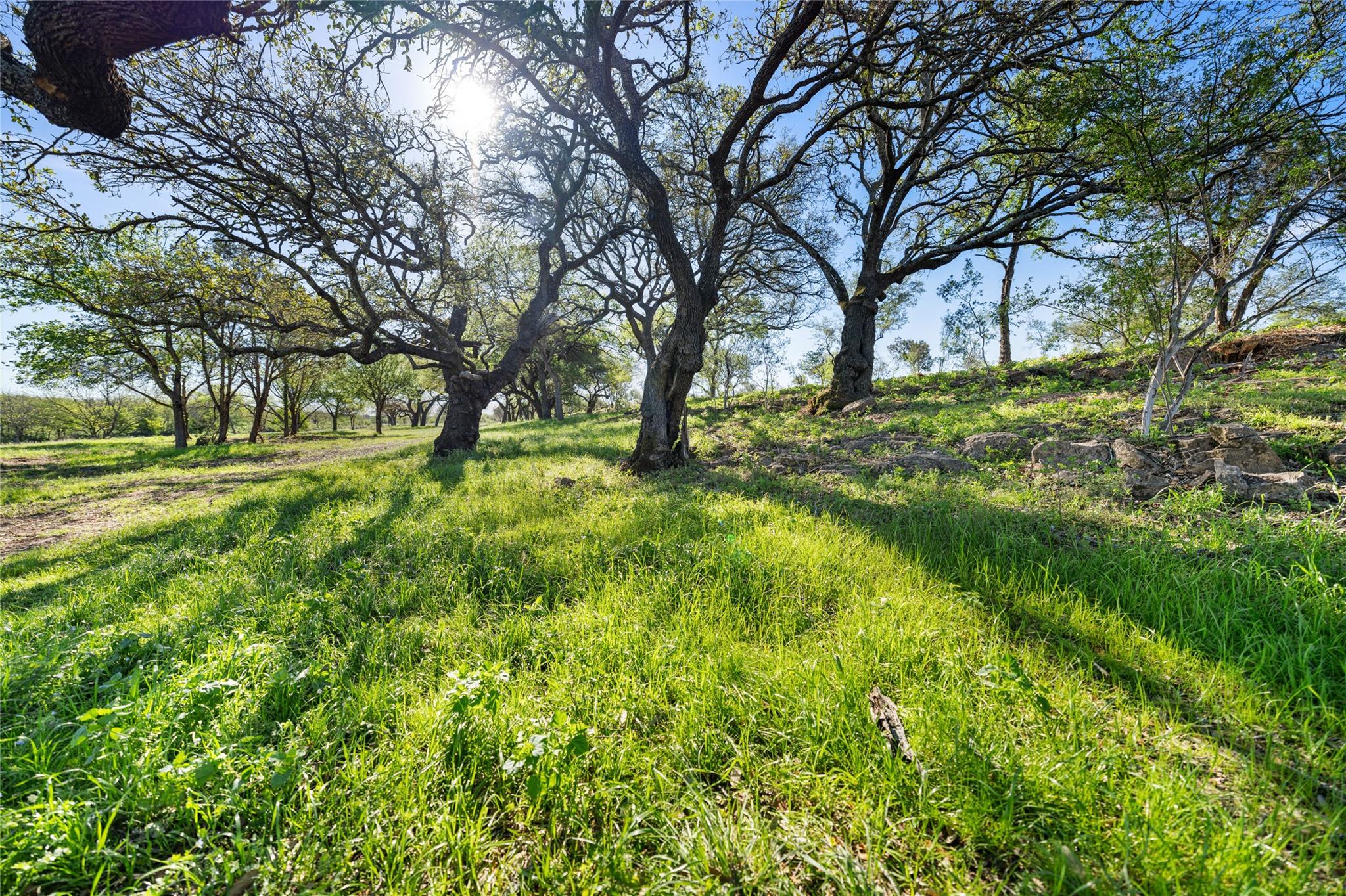 Image 14 of 15 For 1594-40 Ranch Road 1320