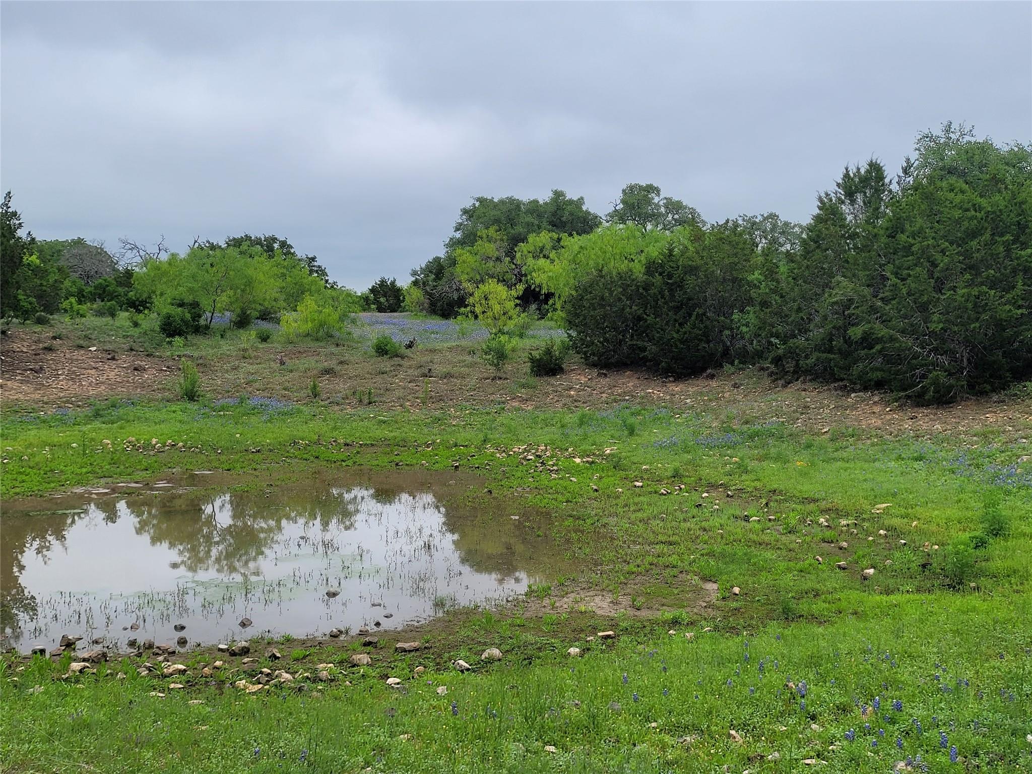 Image 11 of 31 For 9939 County Road 404