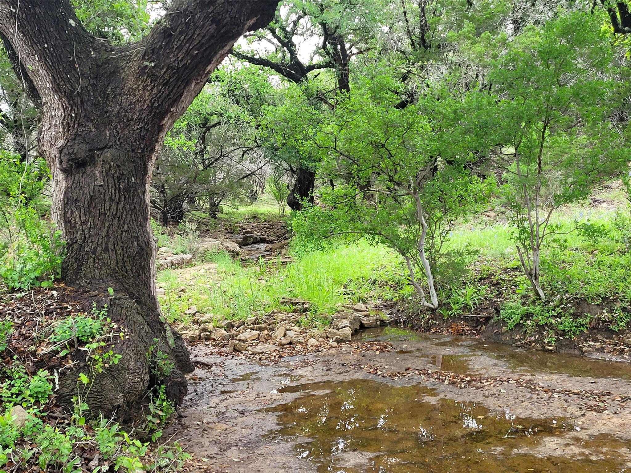 Image 12 of 31 For 9939 County Road 404