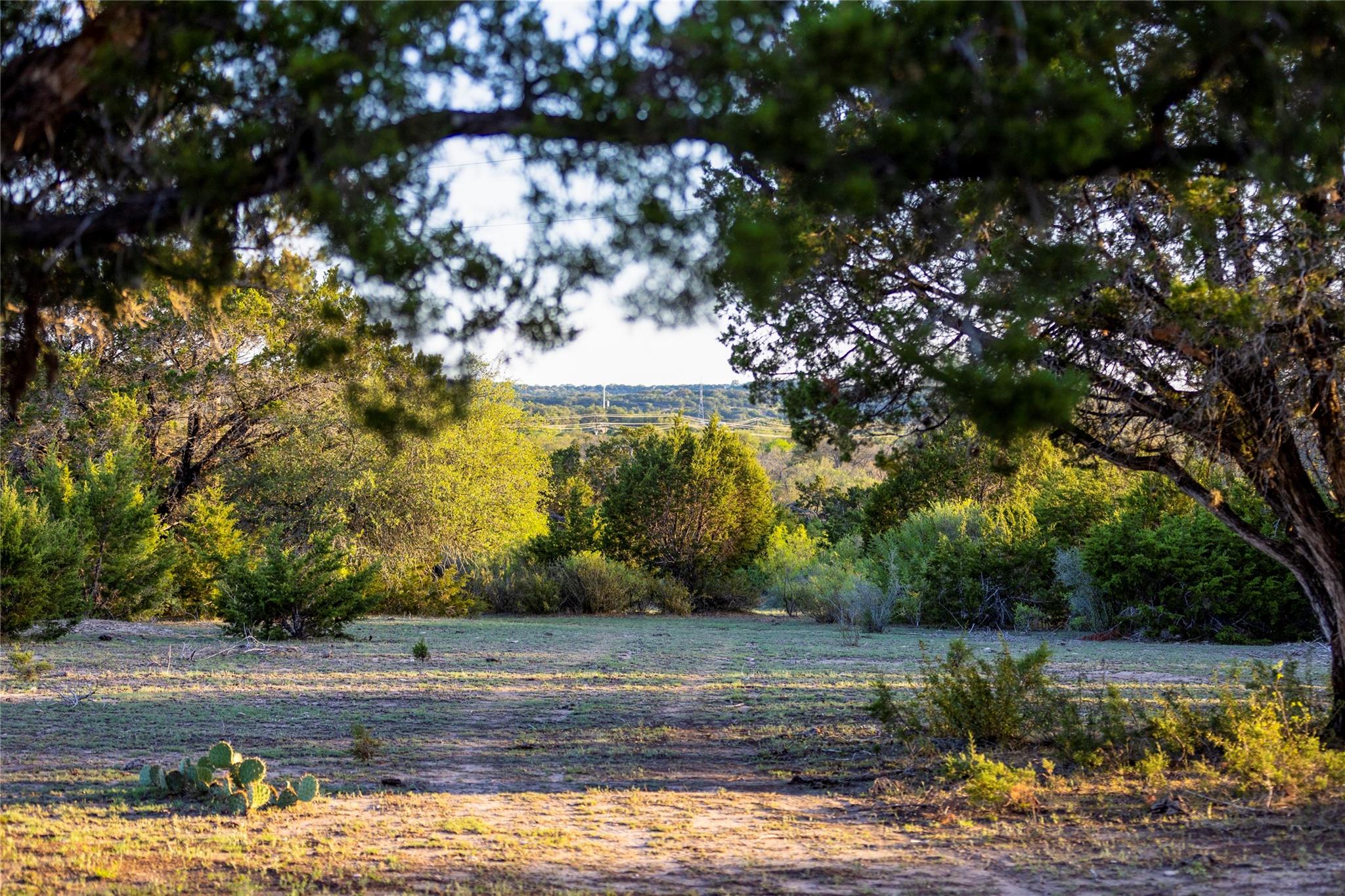 Image 14 of 31 For 9939 County Road 404