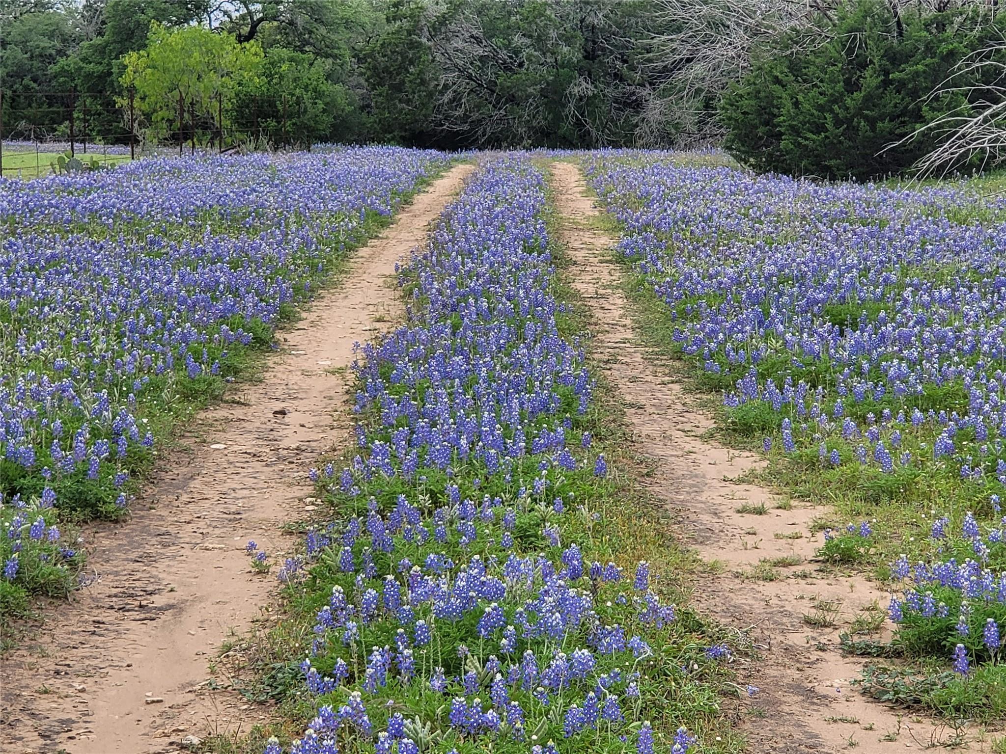 Image 15 of 31 For 9939 County Road 404