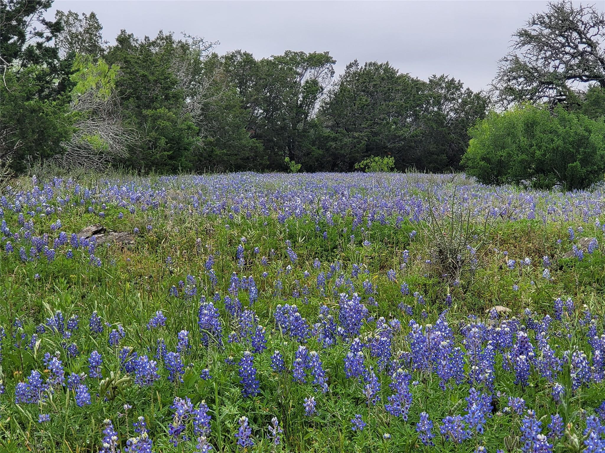 Image 16 of 31 For 9939 County Road 404