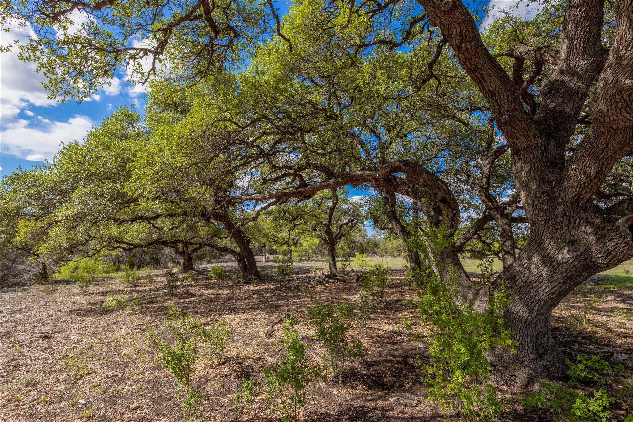 Image 21 of 31 For 9939 County Road 404