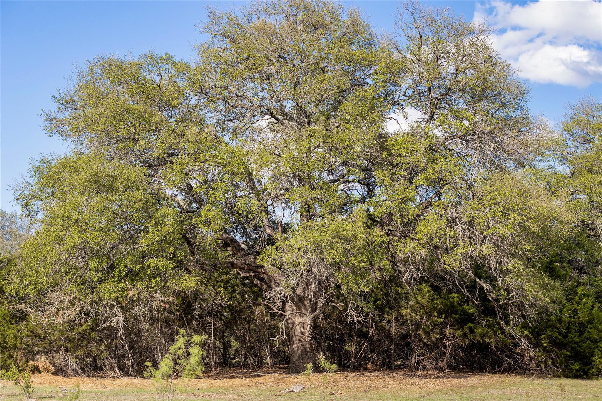 Image 26 of 31 For 9939 County Road 404