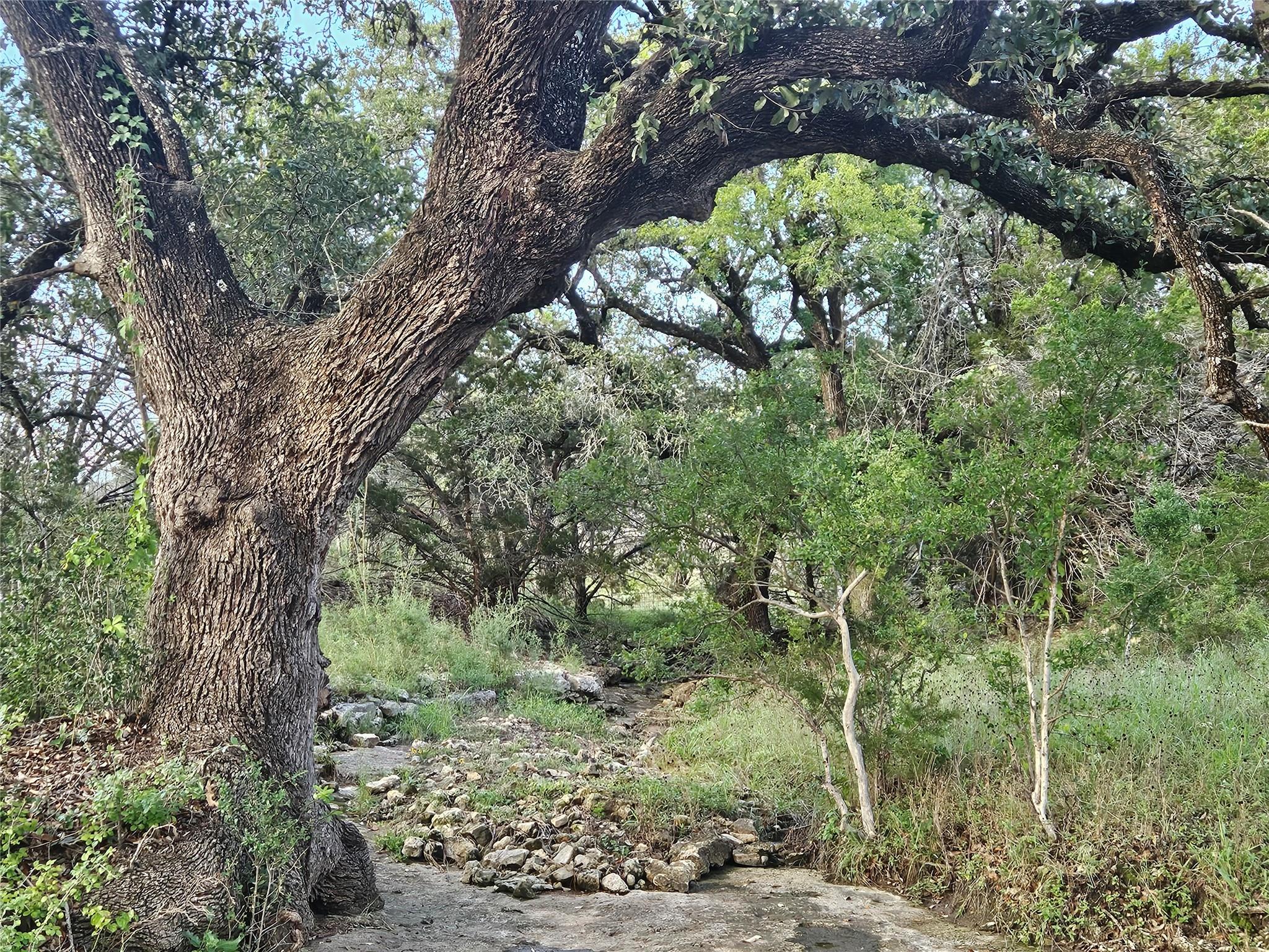 Image 7 of 31 For 9939 County Road 404