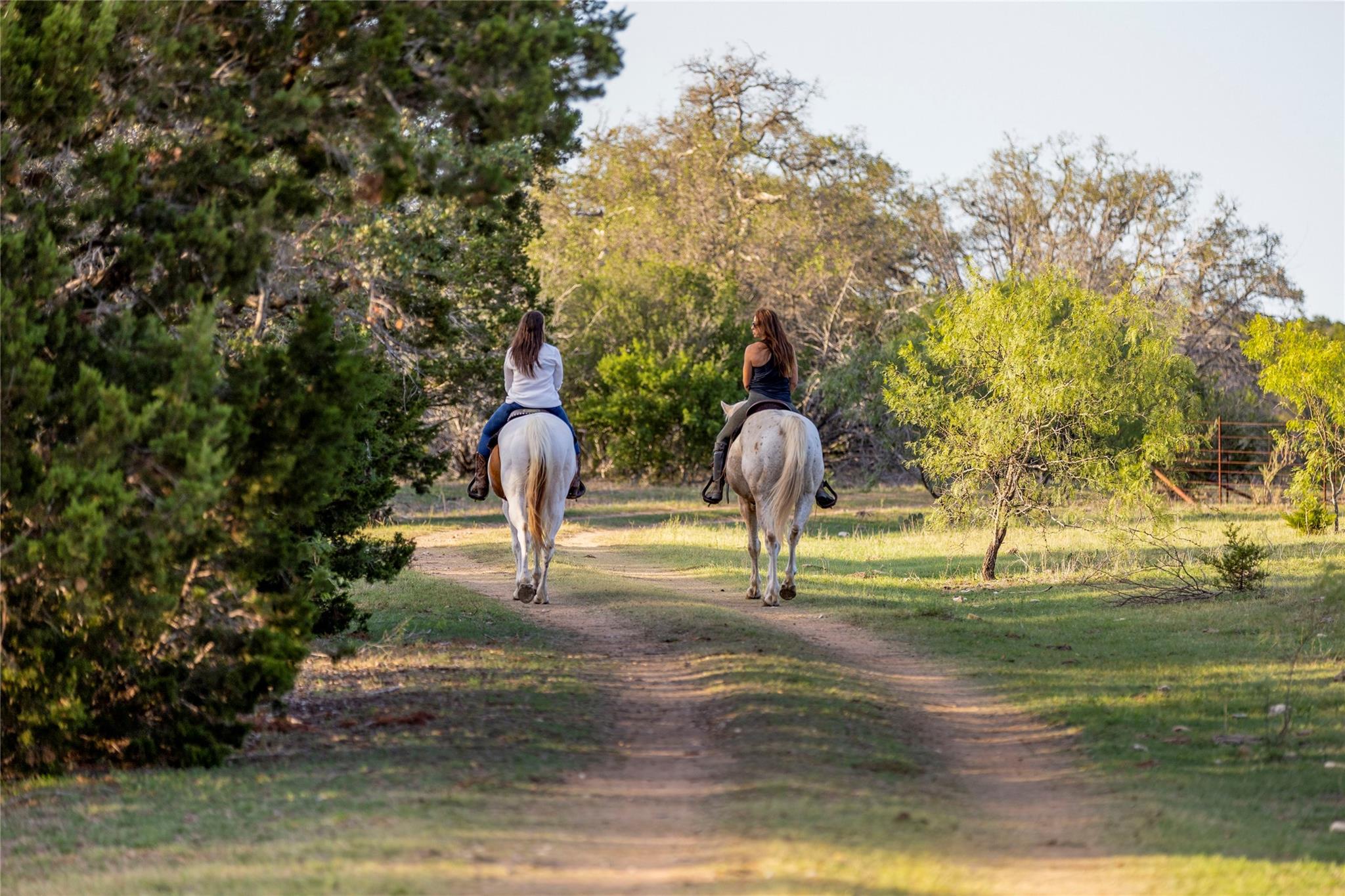 Image 8 of 31 For 9939 County Road 404