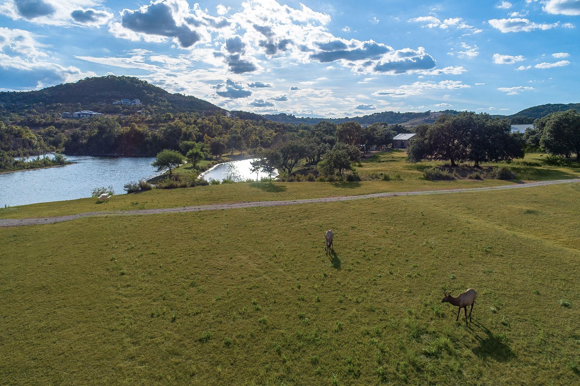 Image 39 of 40 For 234 Elk Run Cv