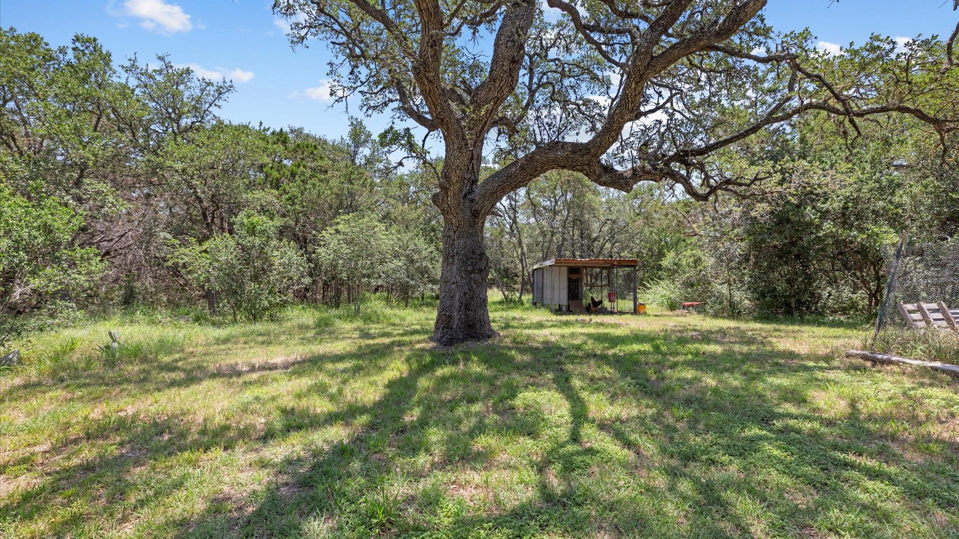 Image 22 of 33 For 689 Abels Way