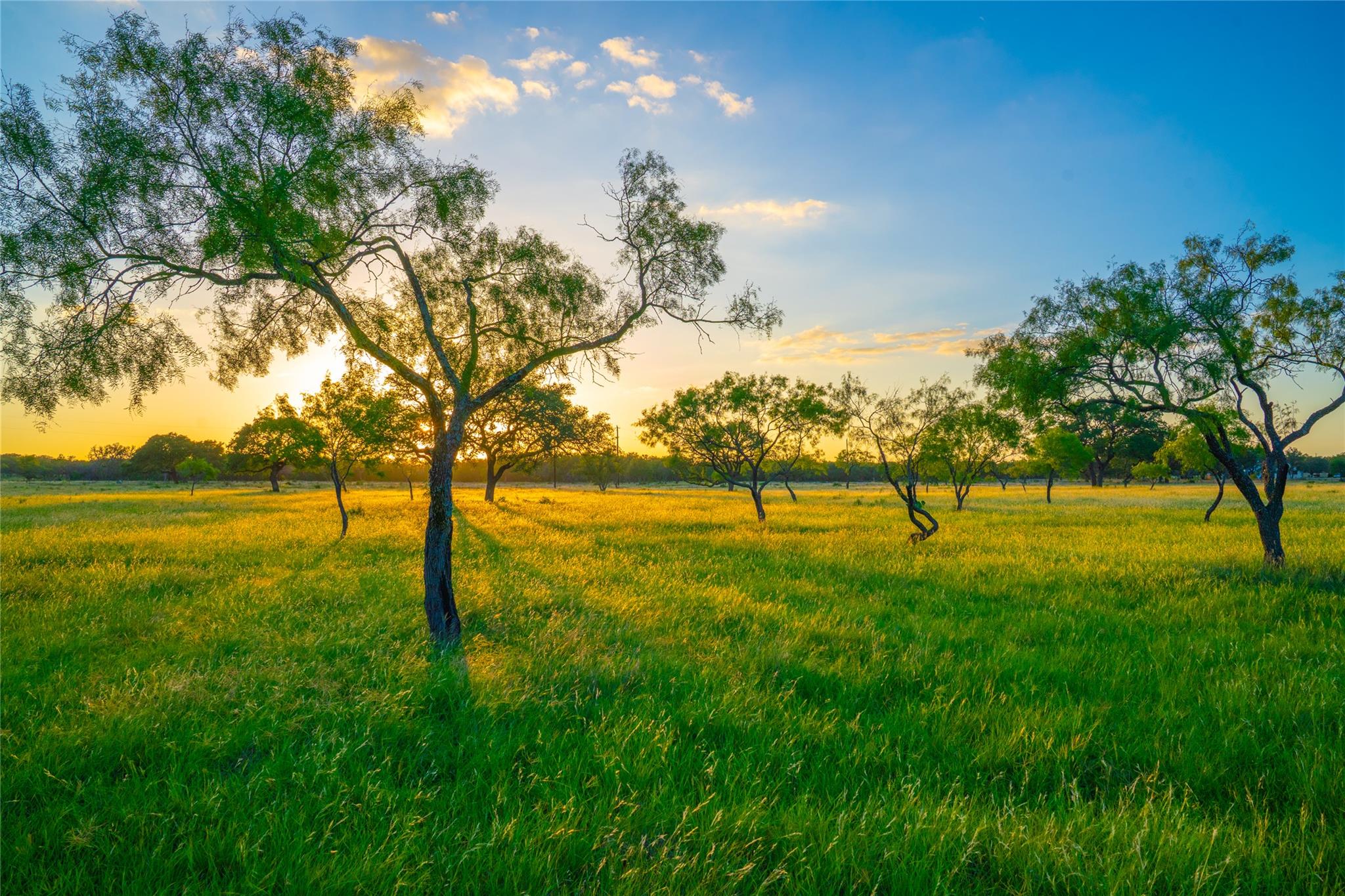 Image 2 of 12 For 0 Golden Hour Ranch