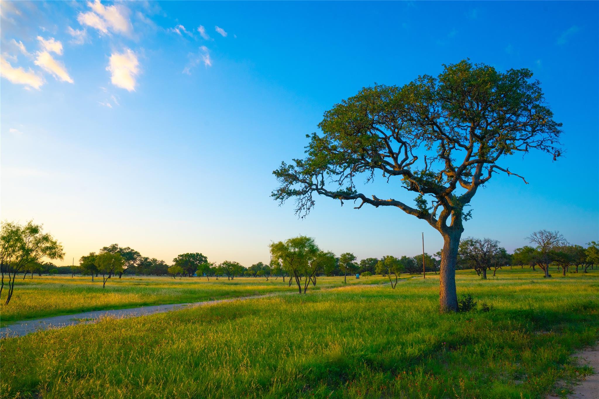 Image 8 of 12 For 0 Golden Hour Ranch