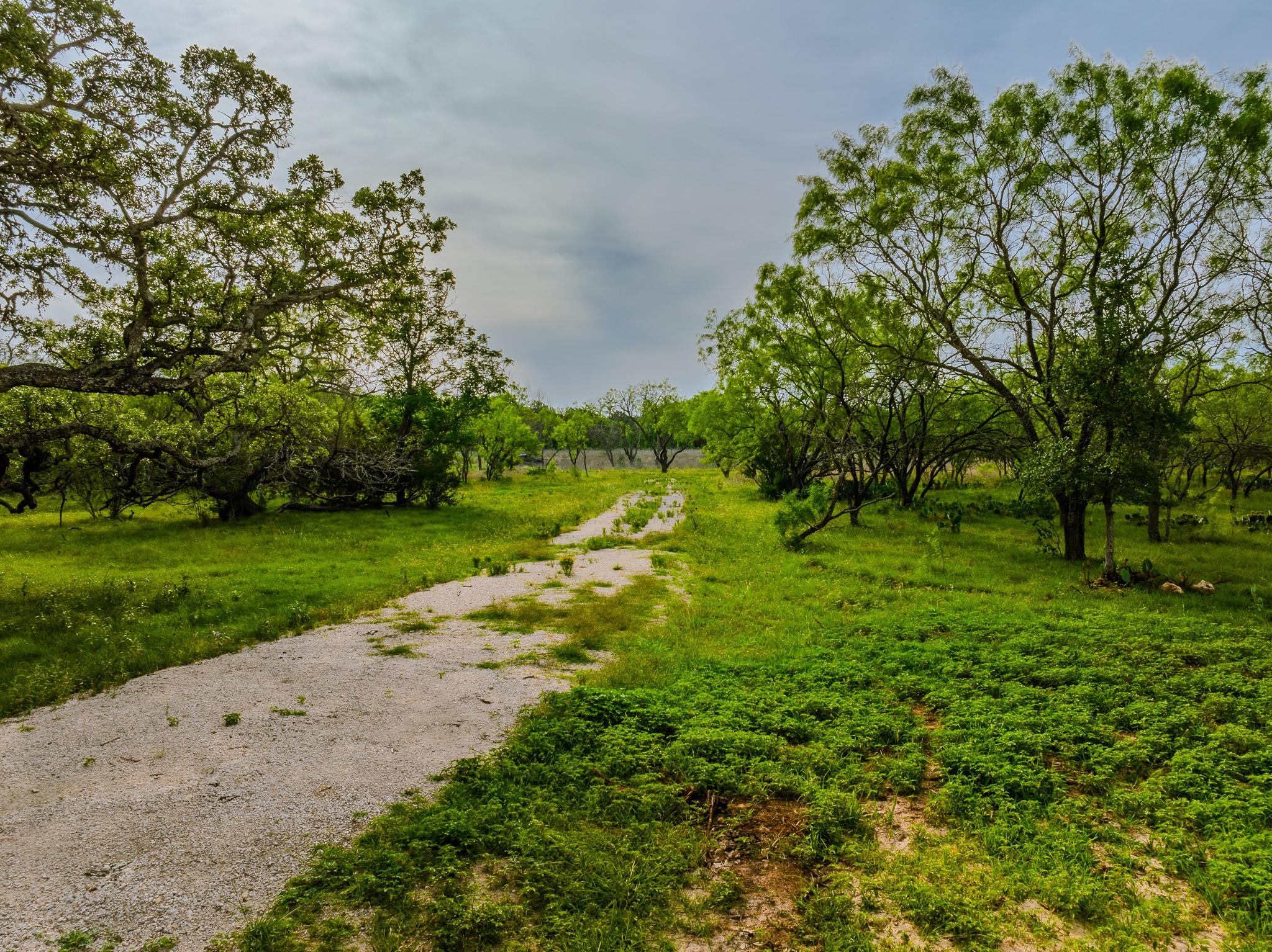 Image 12 of 23 For 000 The Reserve At 290 Highway