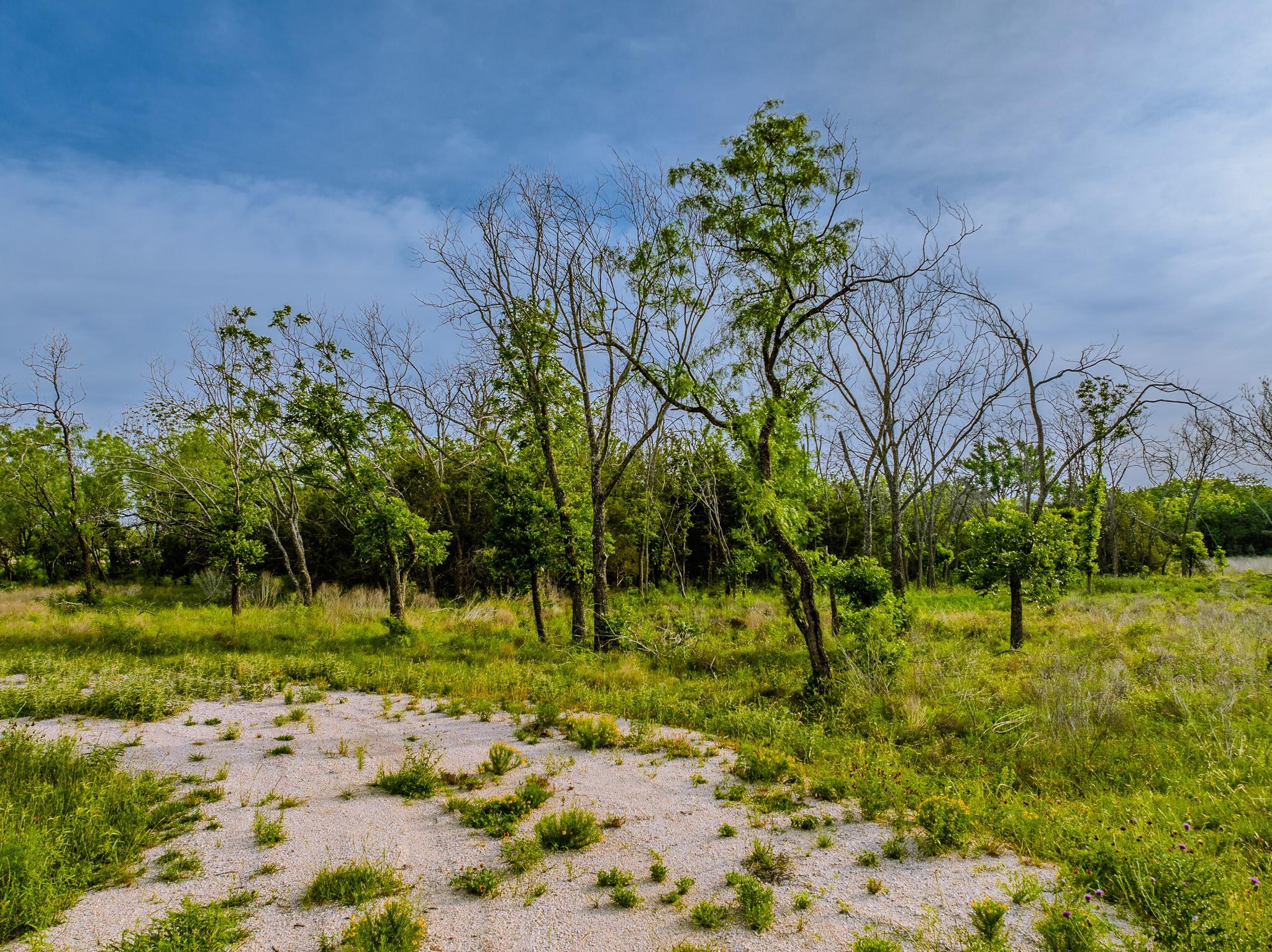 Image 13 of 23 For 000 The Reserve At 290 Highway