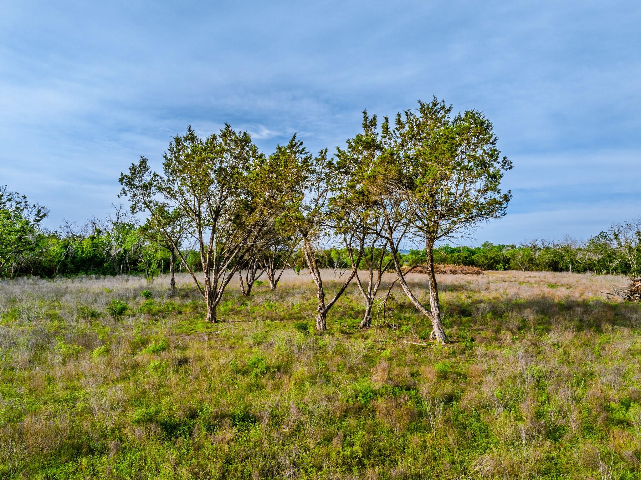 Image 14 of 23 For 000 The Reserve At 290 Highway