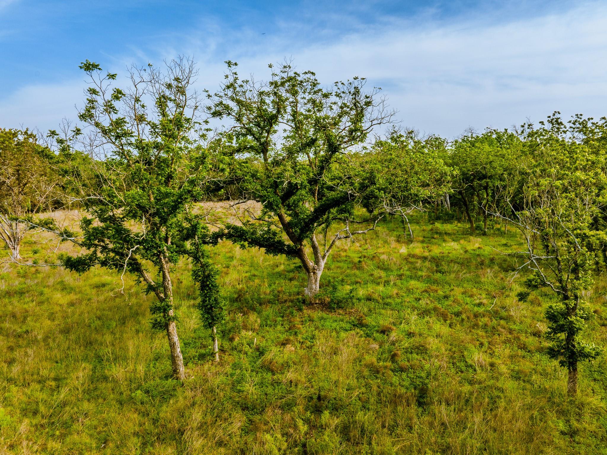 Image 15 of 23 For 000 The Reserve At 290 Highway
