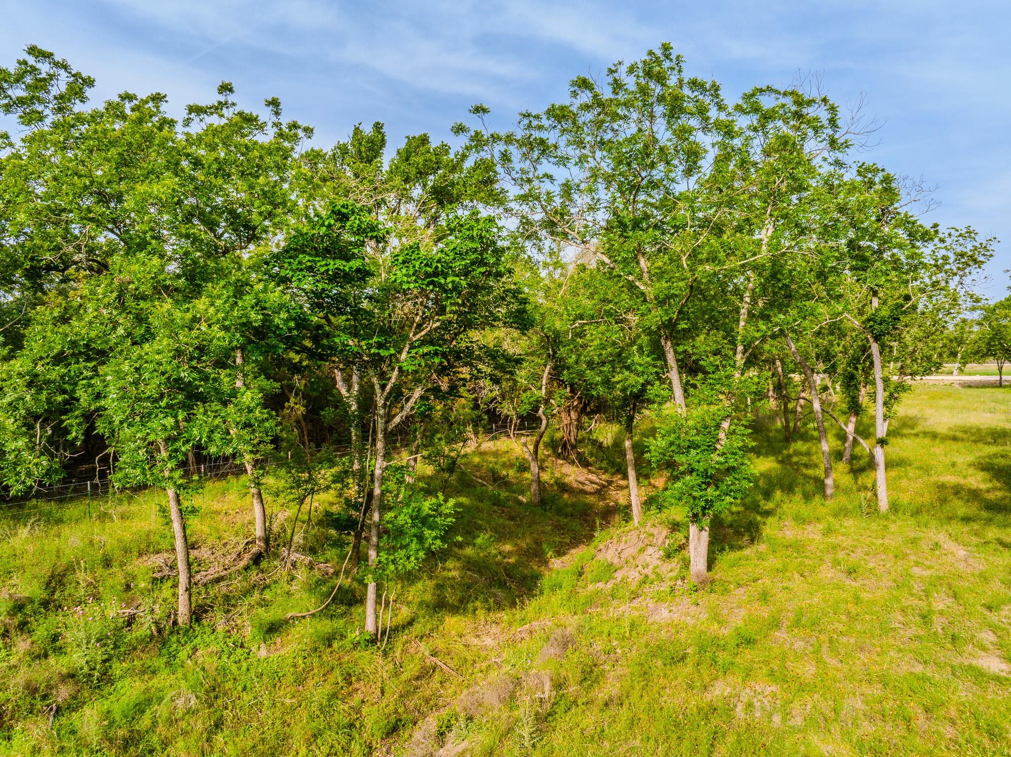 Image 16 of 23 For 000 The Reserve At 290 Highway