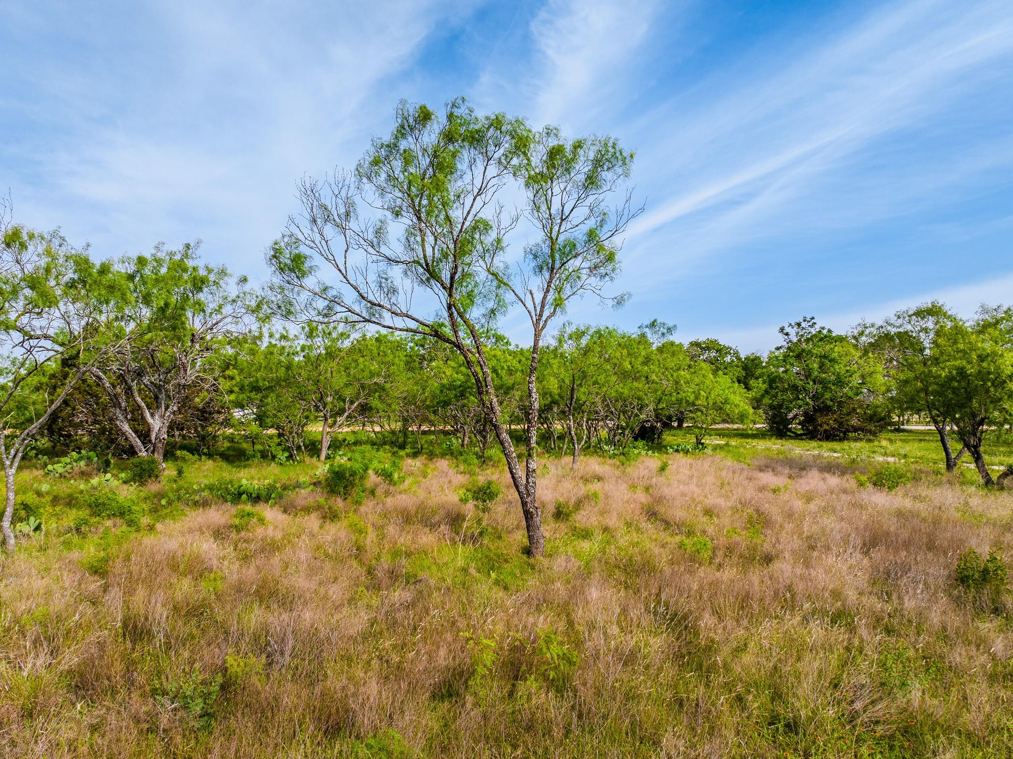 Image 17 of 23 For 000 The Reserve At 290 Highway