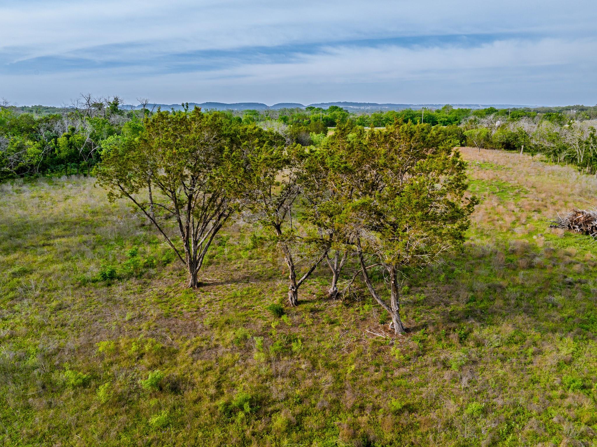 Image 18 of 23 For 000 The Reserve At 290 Highway