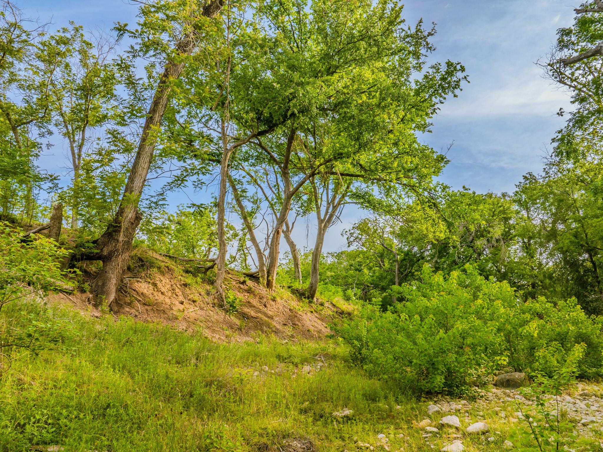 Image 2 of 23 For 000 The Reserve At 290 Highway