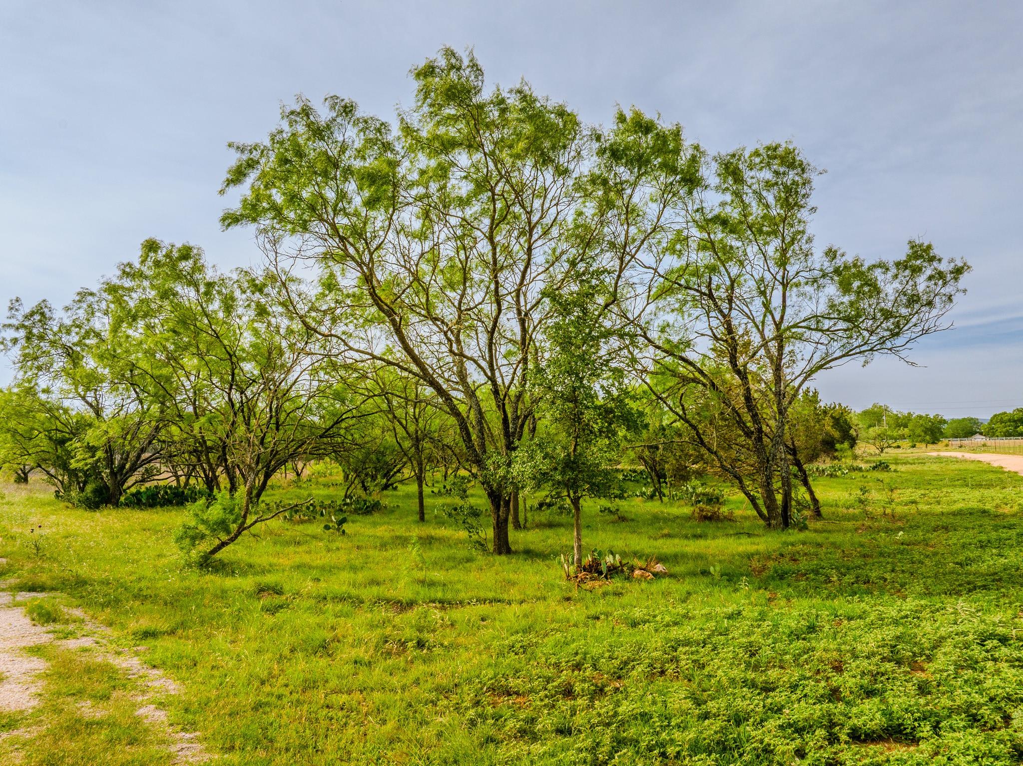 Image 3 of 23 For 000 The Reserve At 290 Highway