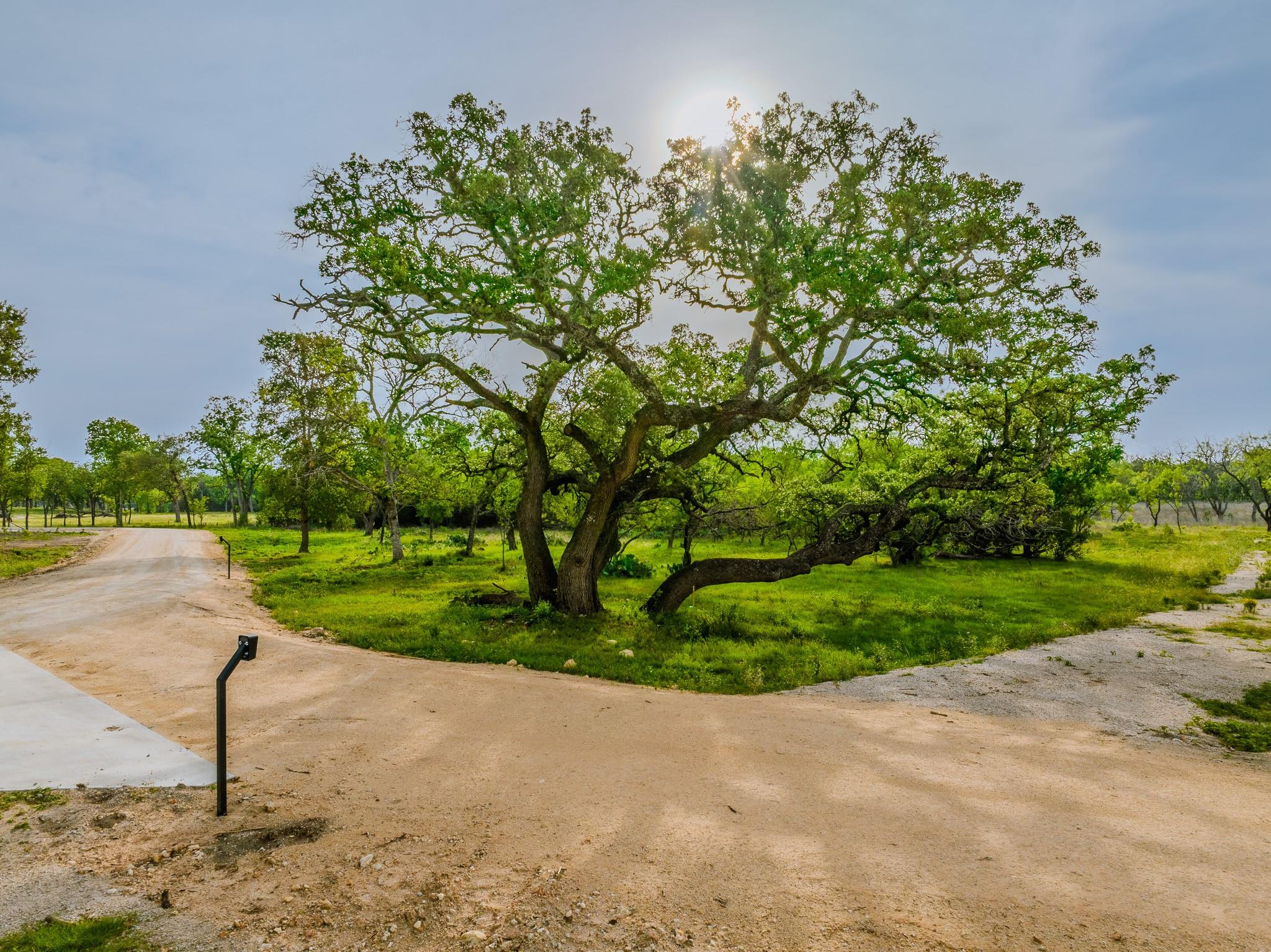 Image 4 of 23 For 000 The Reserve At 290 Highway