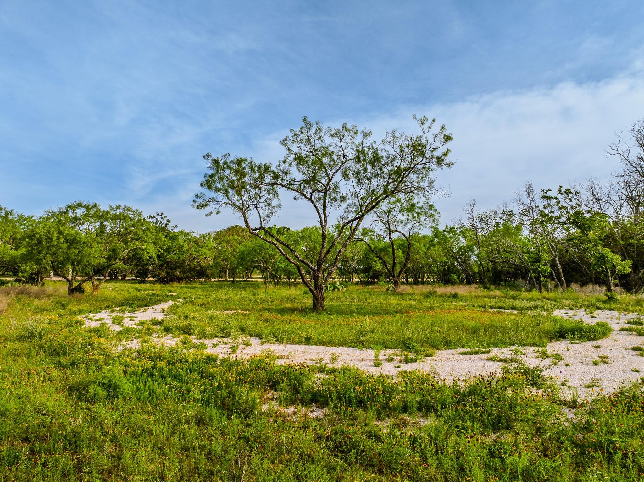 Image 6 of 23 For 000 The Reserve At 290 Highway