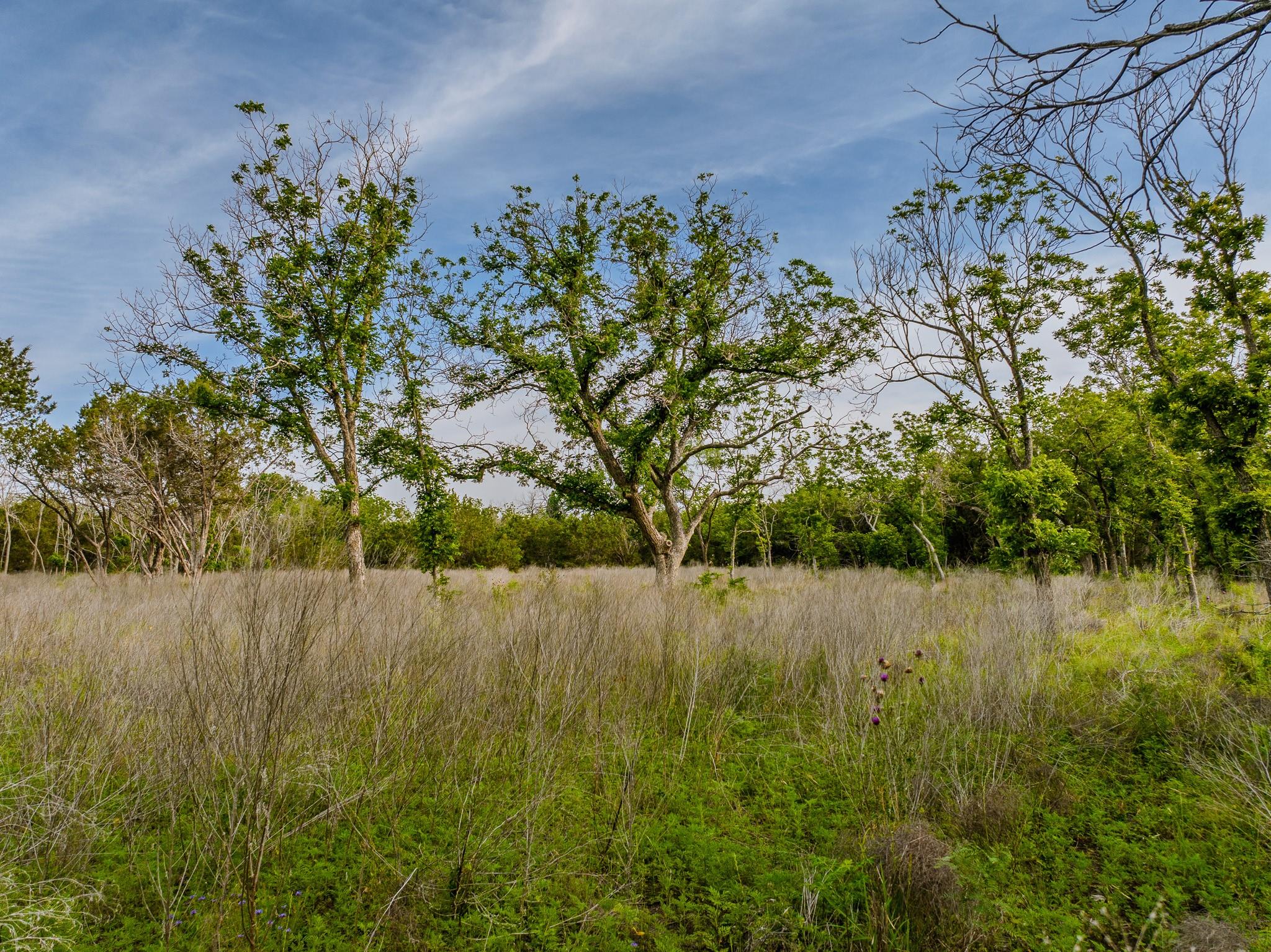 Image 7 of 23 For 000 The Reserve At 290 Highway