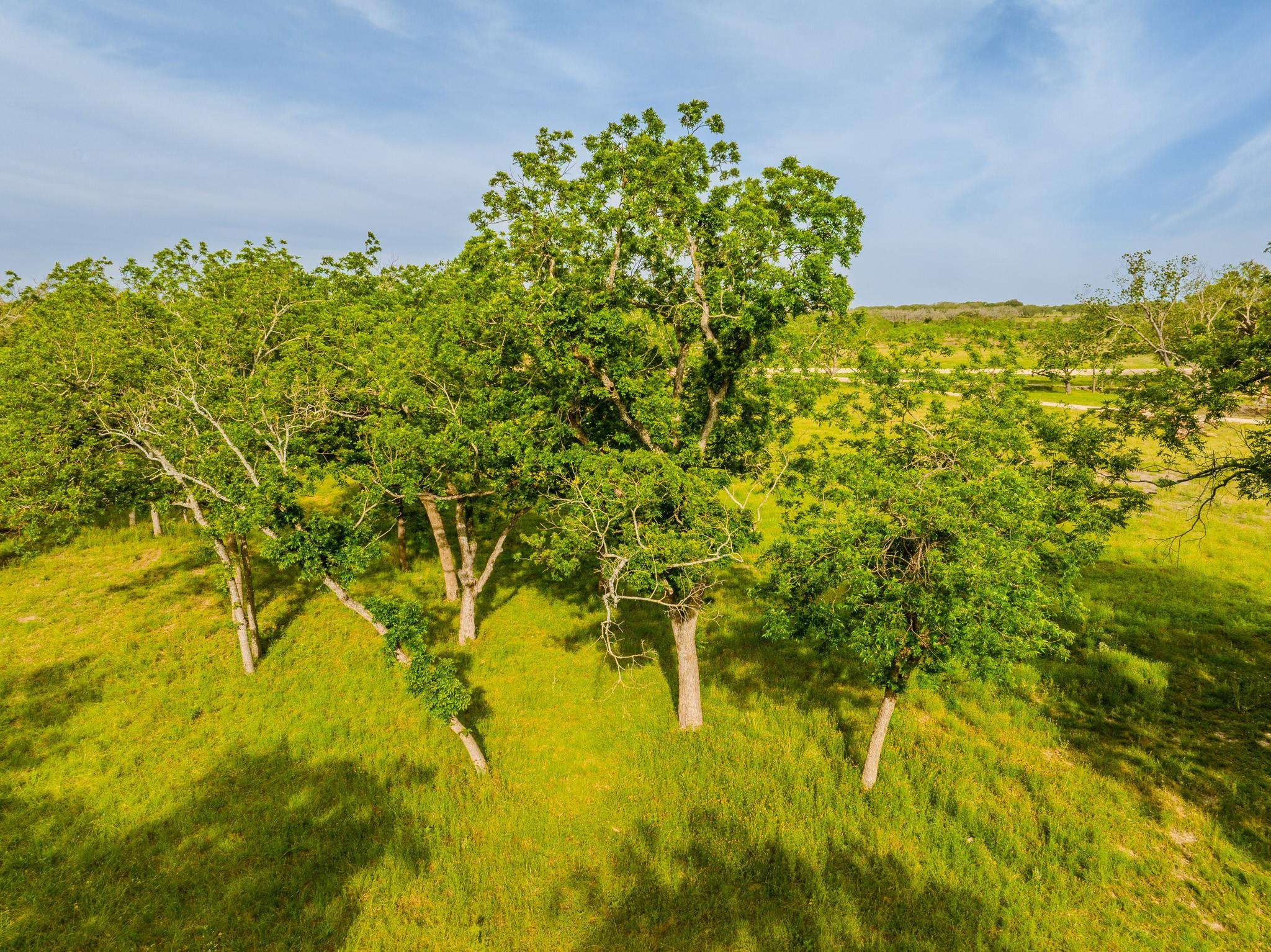 Image 8 of 23 For 000 The Reserve At 290 Highway