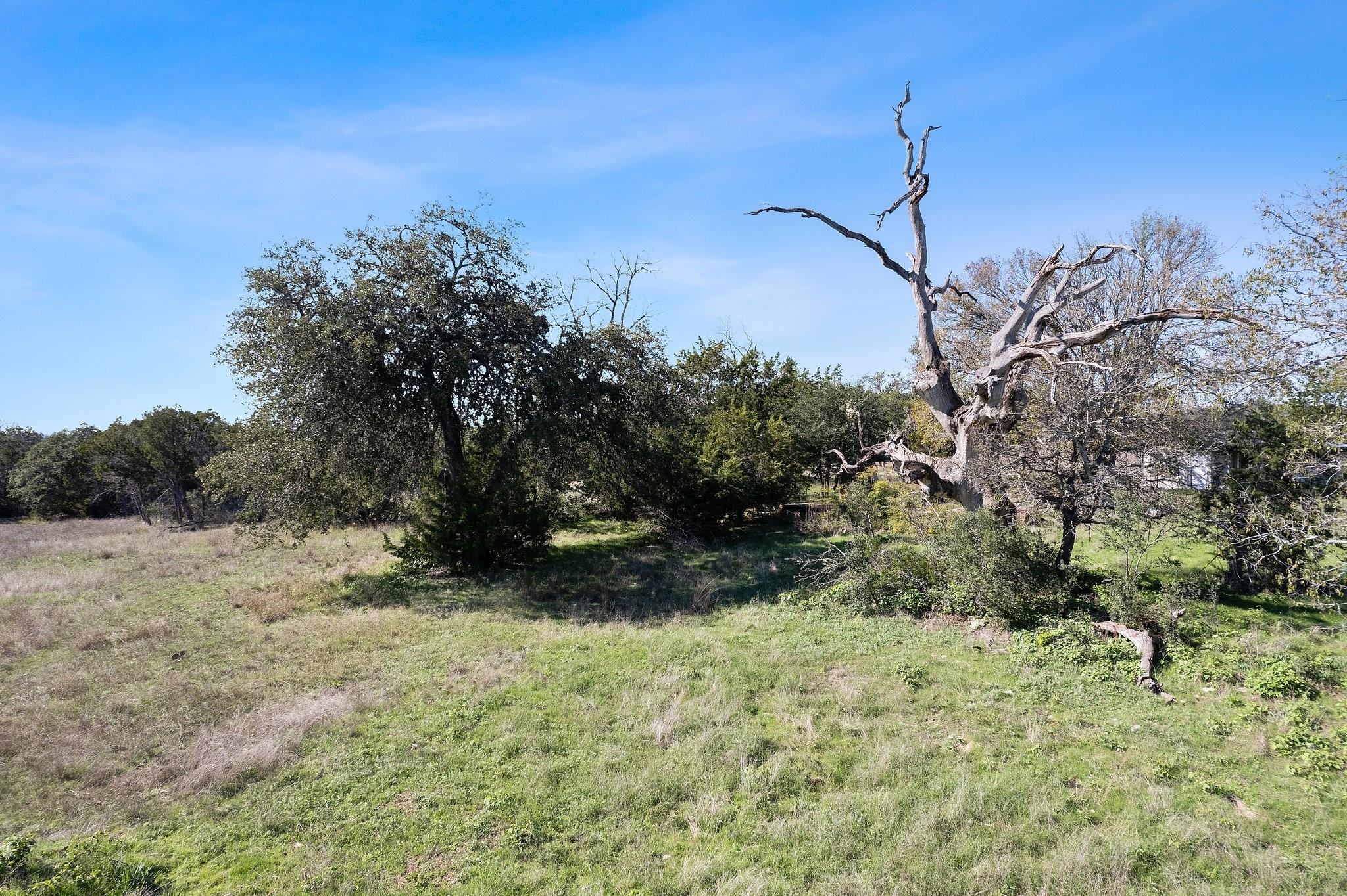 Image 17 of 21 For 815 Holder Ln