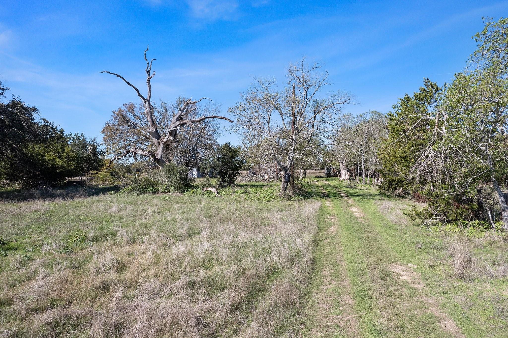 Image 18 of 21 For 815 Holder Ln