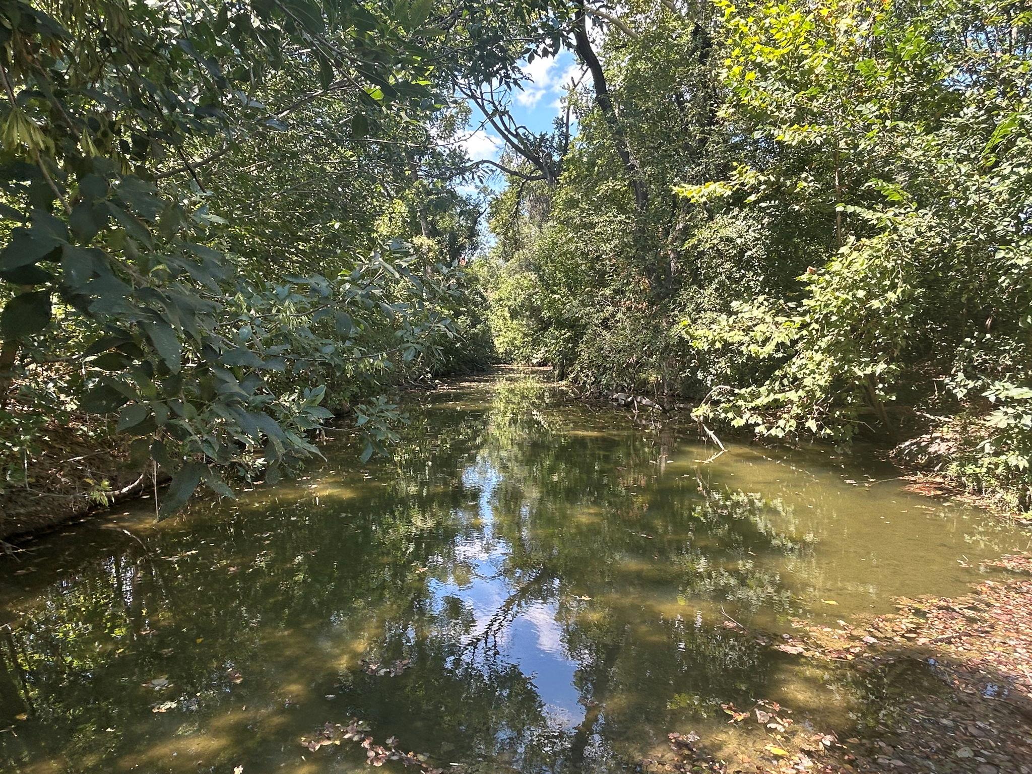 Image 11 of 13 For 11910 Fm 1660