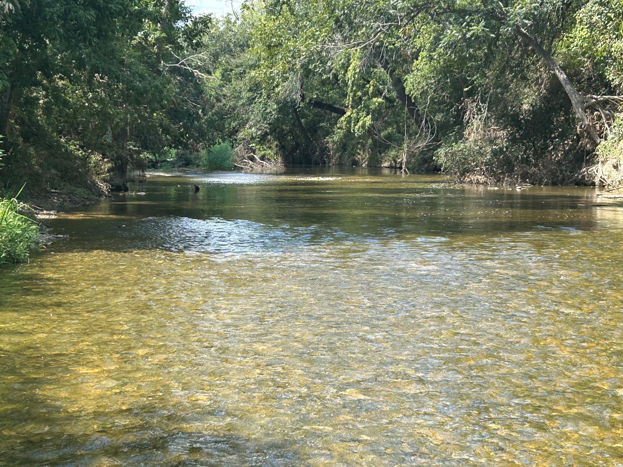 Image 12 of 13 For 11910 Fm 1660