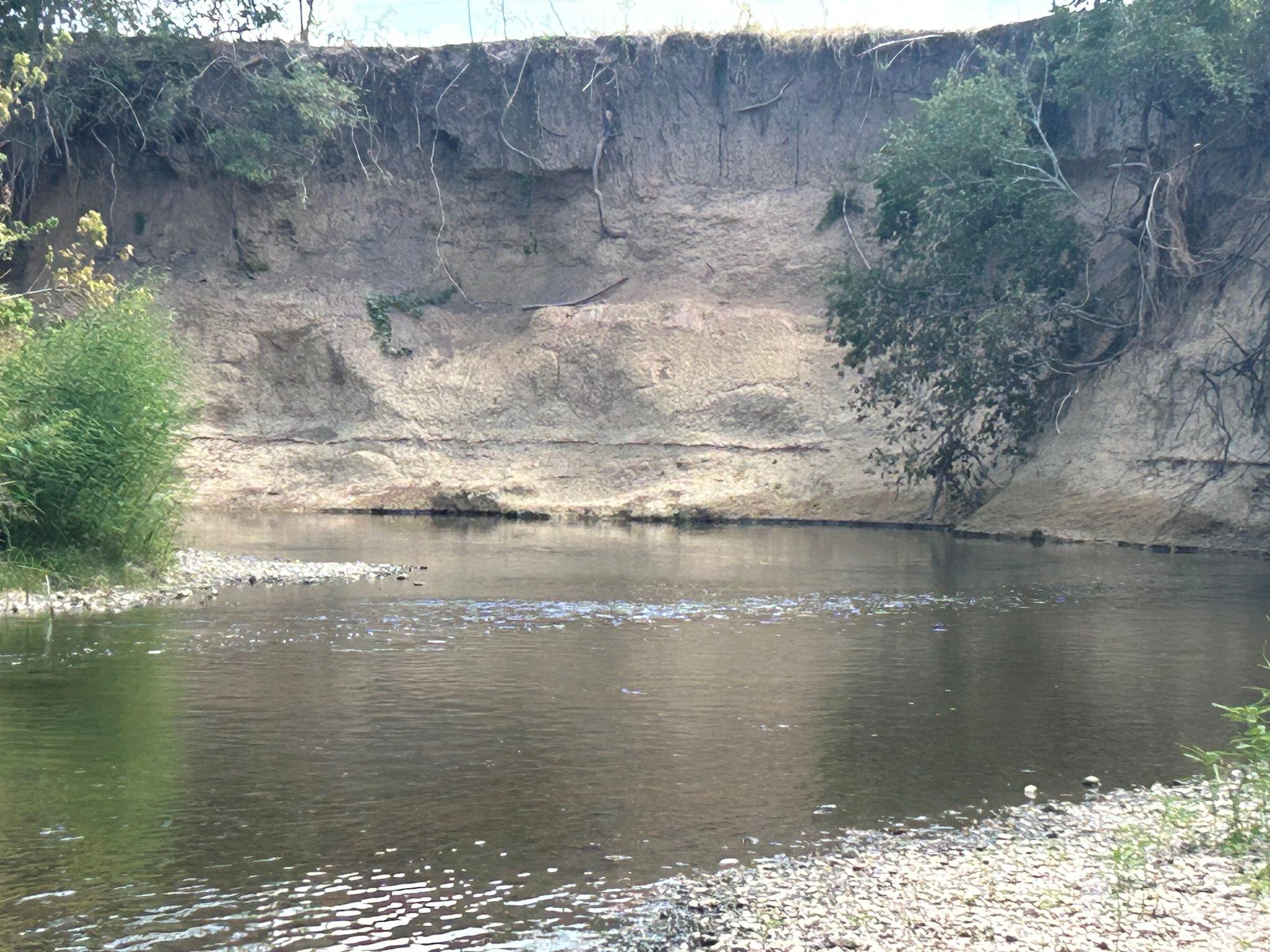 Image 13 of 13 For 11910 Fm 1660