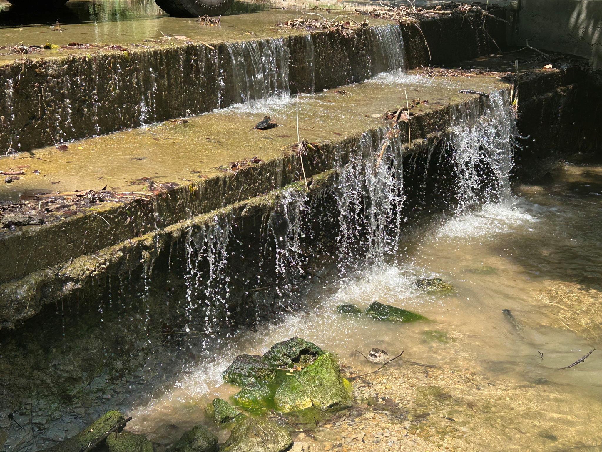 Image 3 of 13 For 11910 Fm 1660