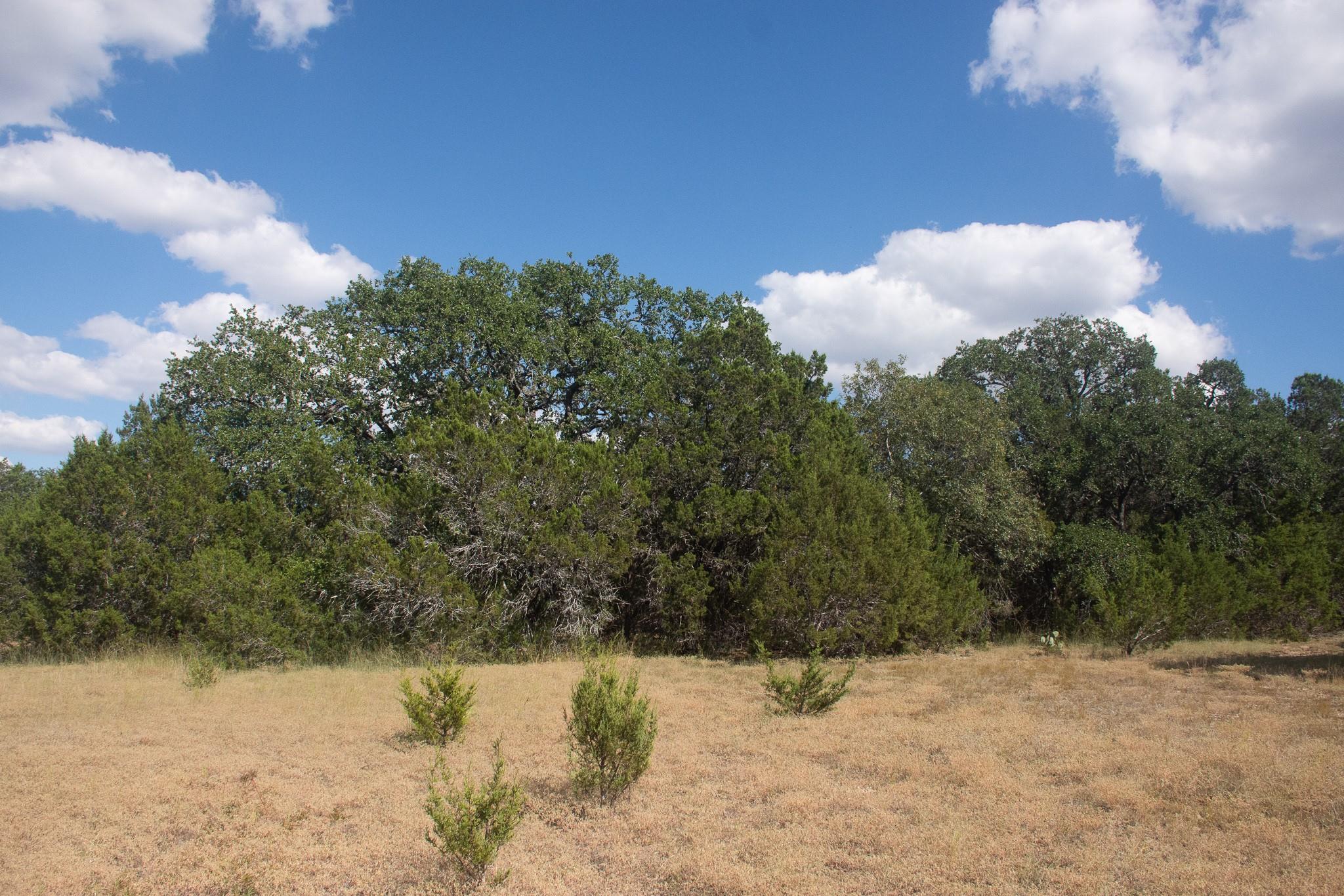 Details for 000 Cr 206  , Burnet, TX 78611